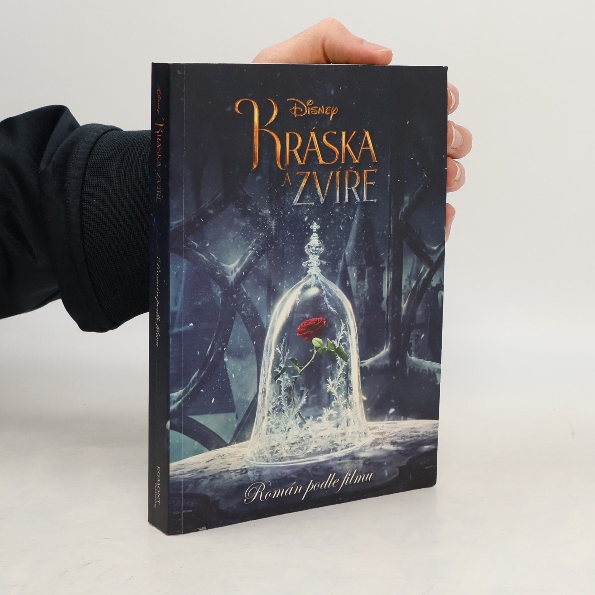 Elizabeth Rudnick Kráska a Zvíře