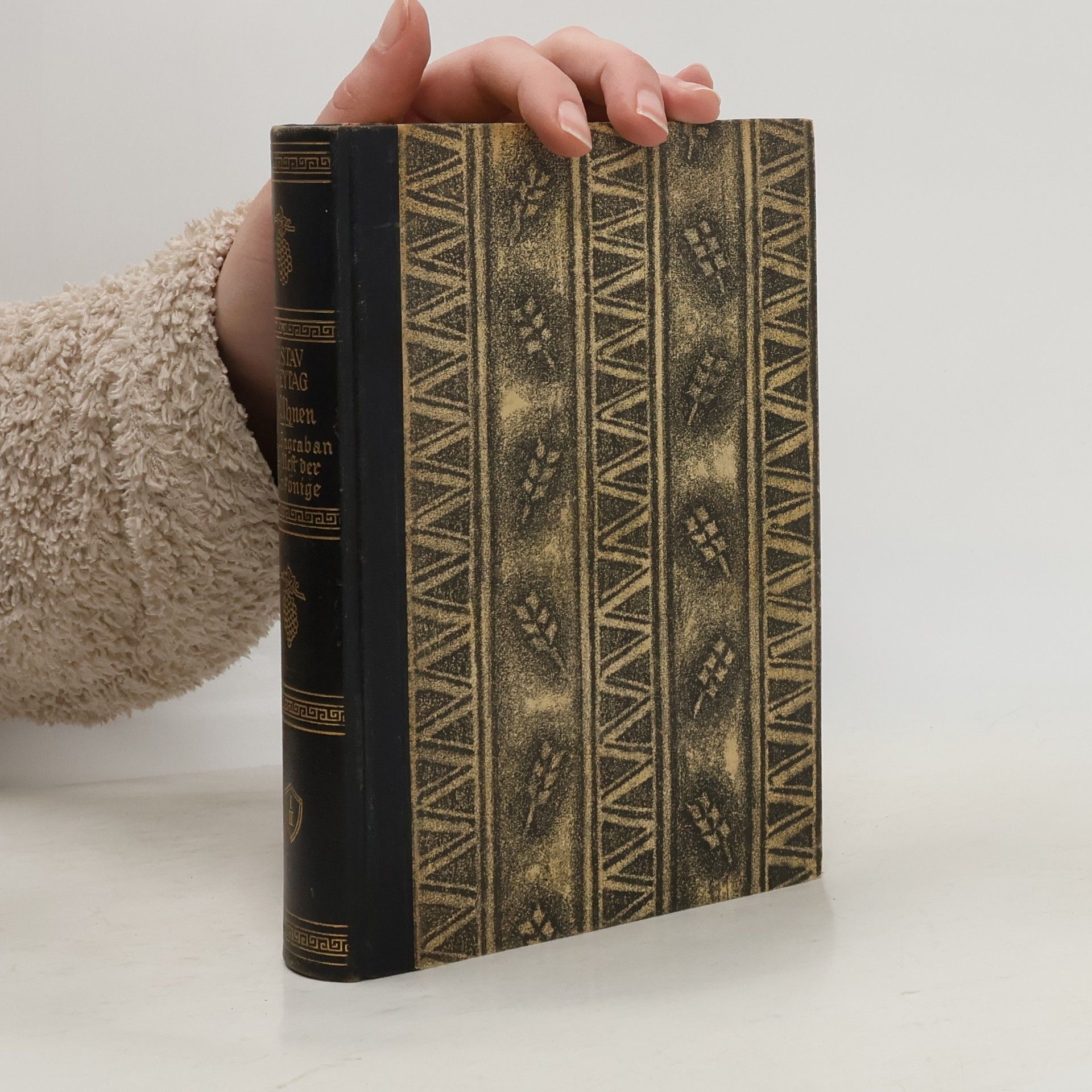 Gustav Freytag Die Uhnen 1.,2.