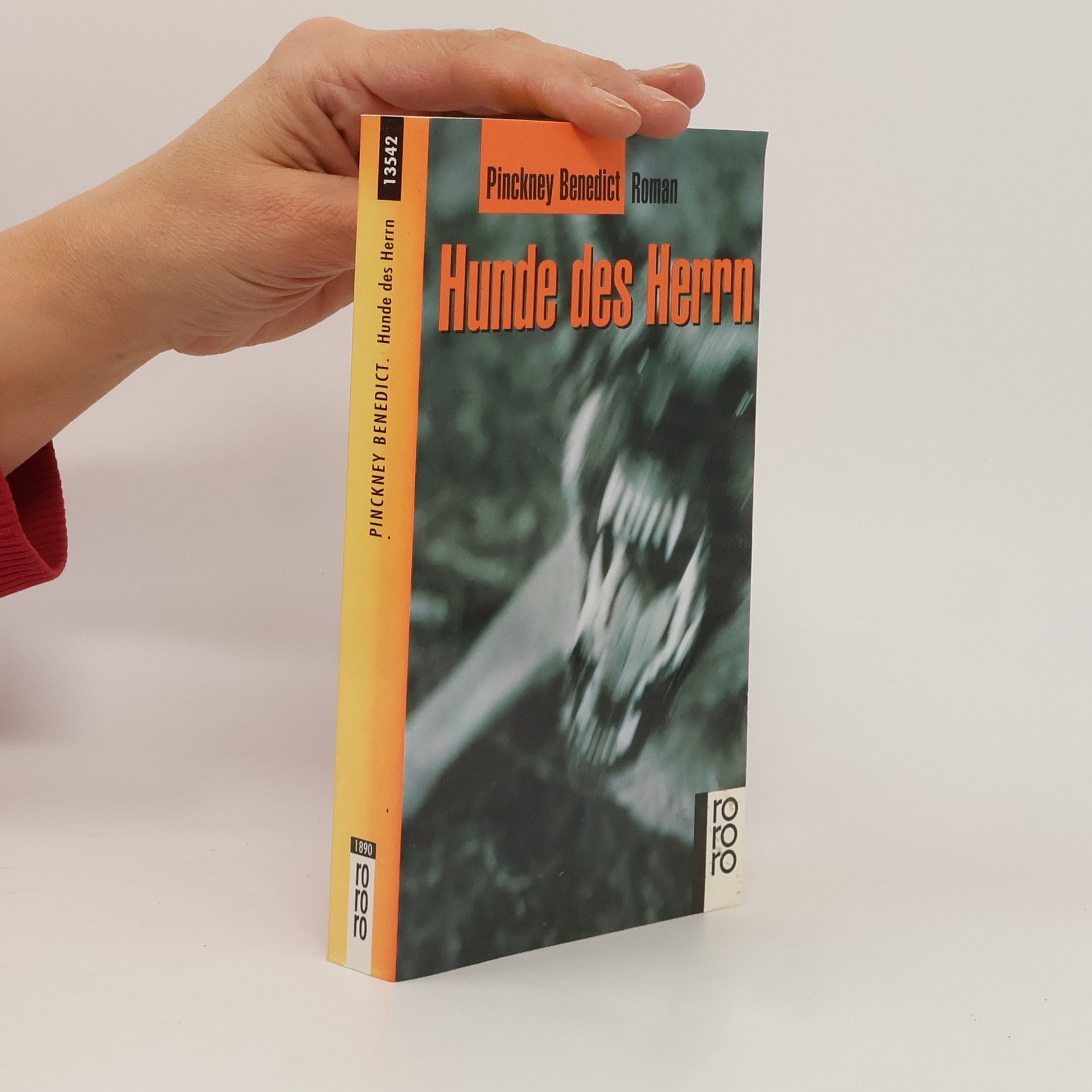 Pinckney Benedict Hunde des Herrn. Roman