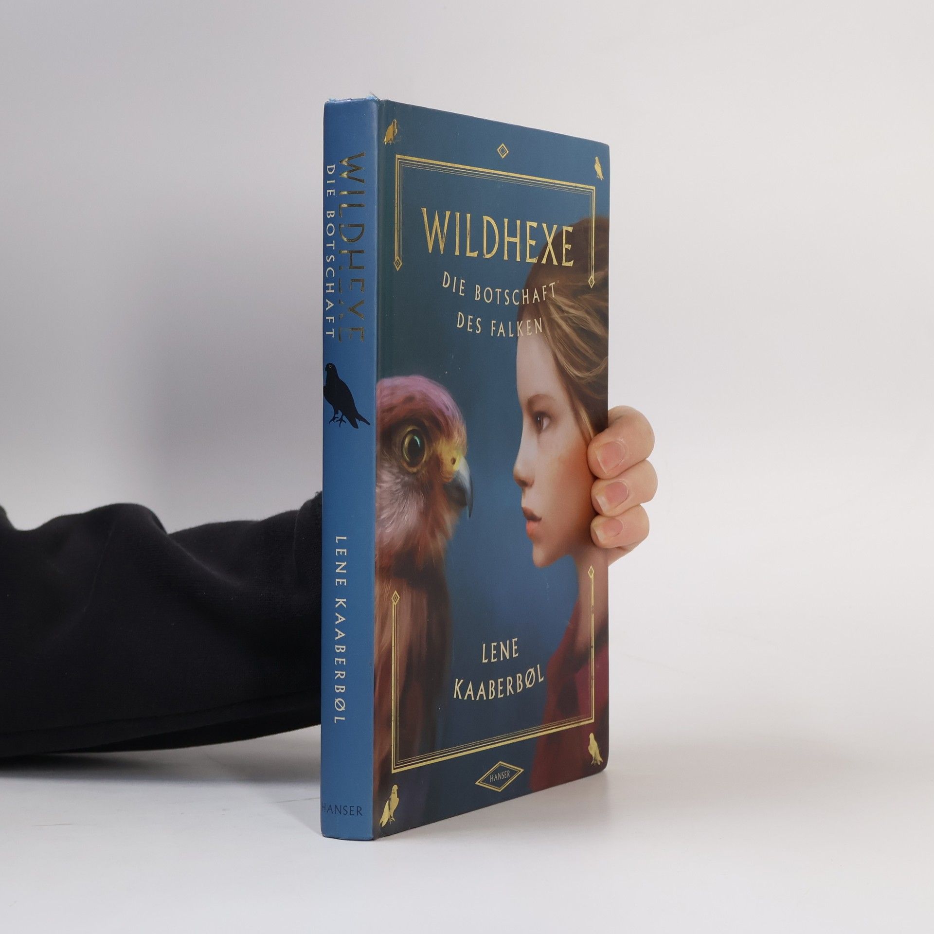 Lene Kaaberbøl Wildhexe. Die Botschaft des Falken