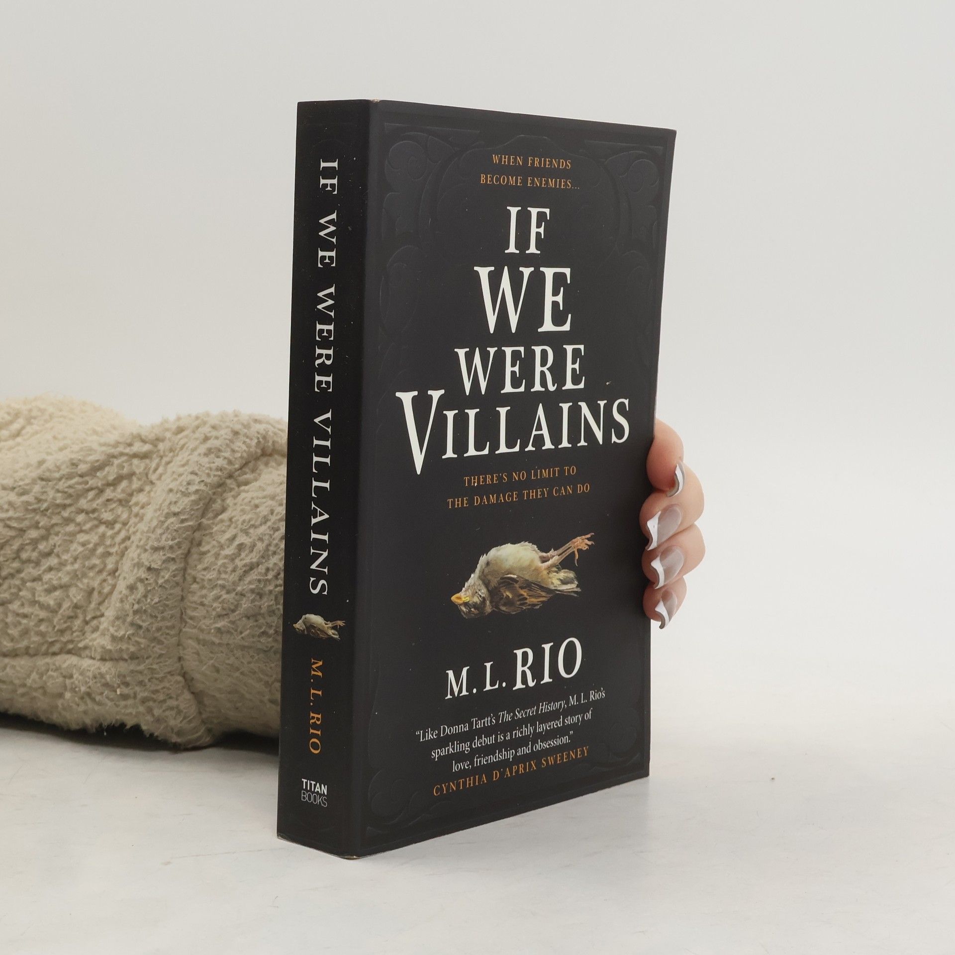 M. L. Rio If We Were Villains