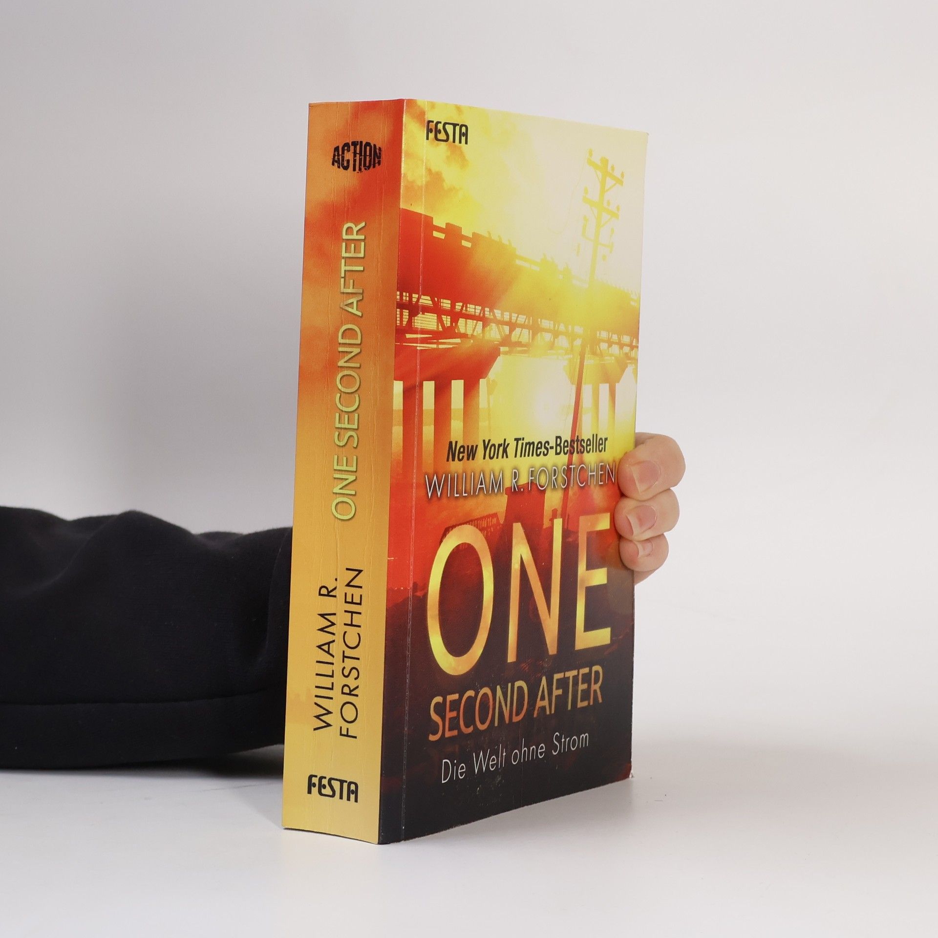 William R. Forstchen One second after