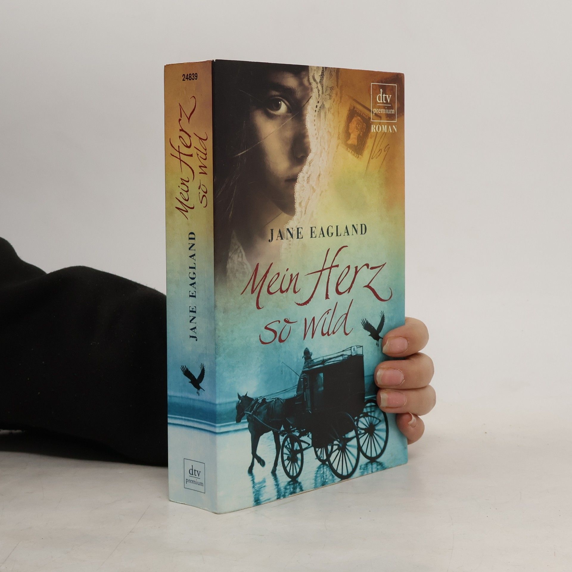 Jane Eagland Mein Herz so wild