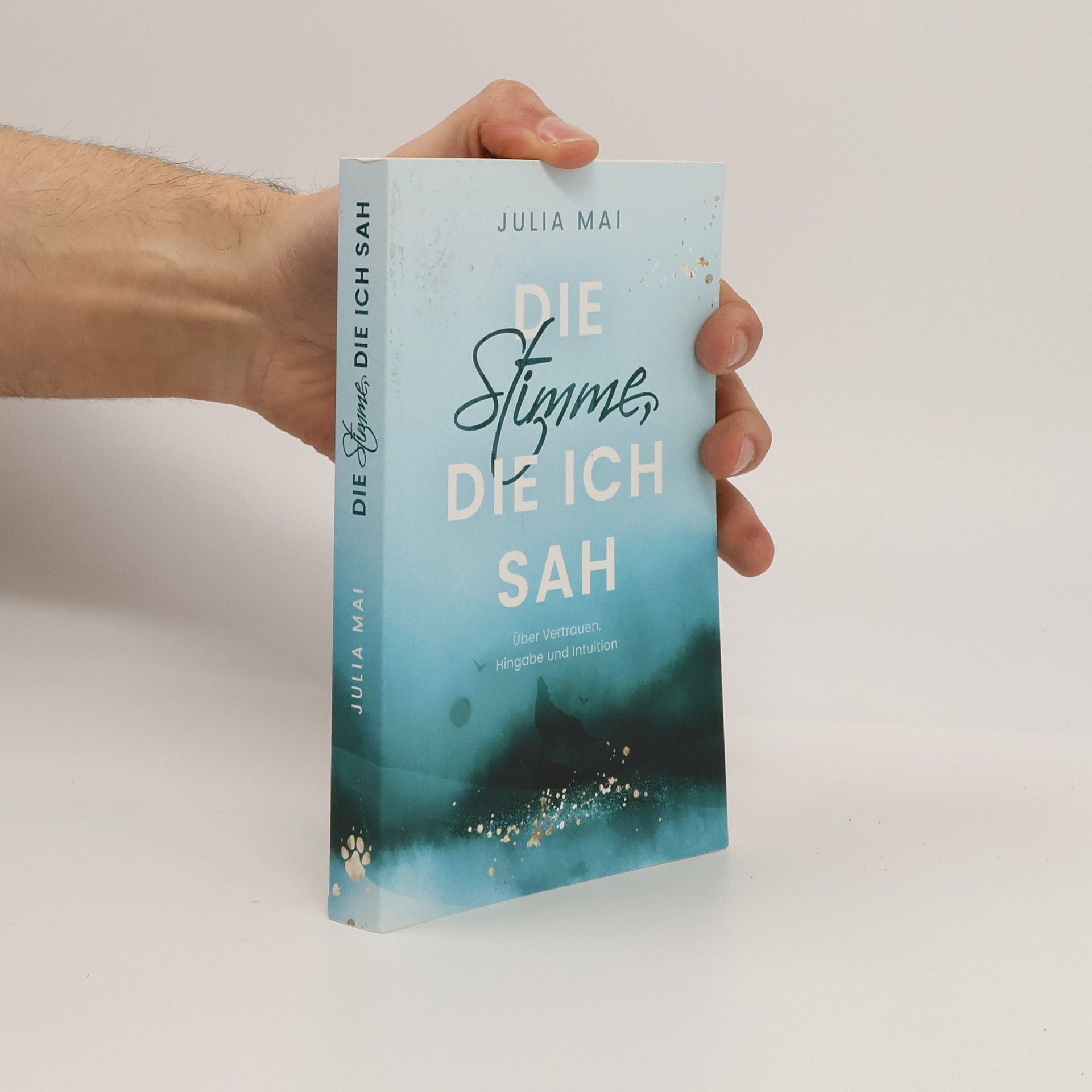 Julia Mai Die Stimme, die ich sah