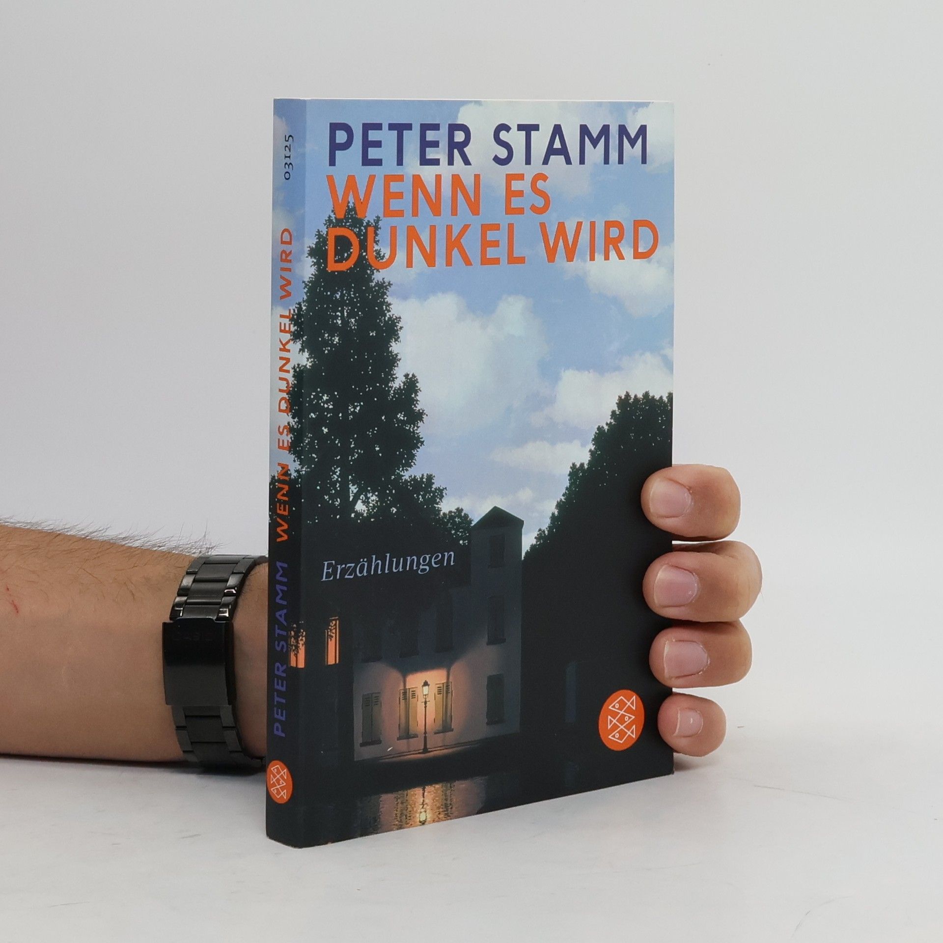 Peter Stamm Wenn es dunkel wird