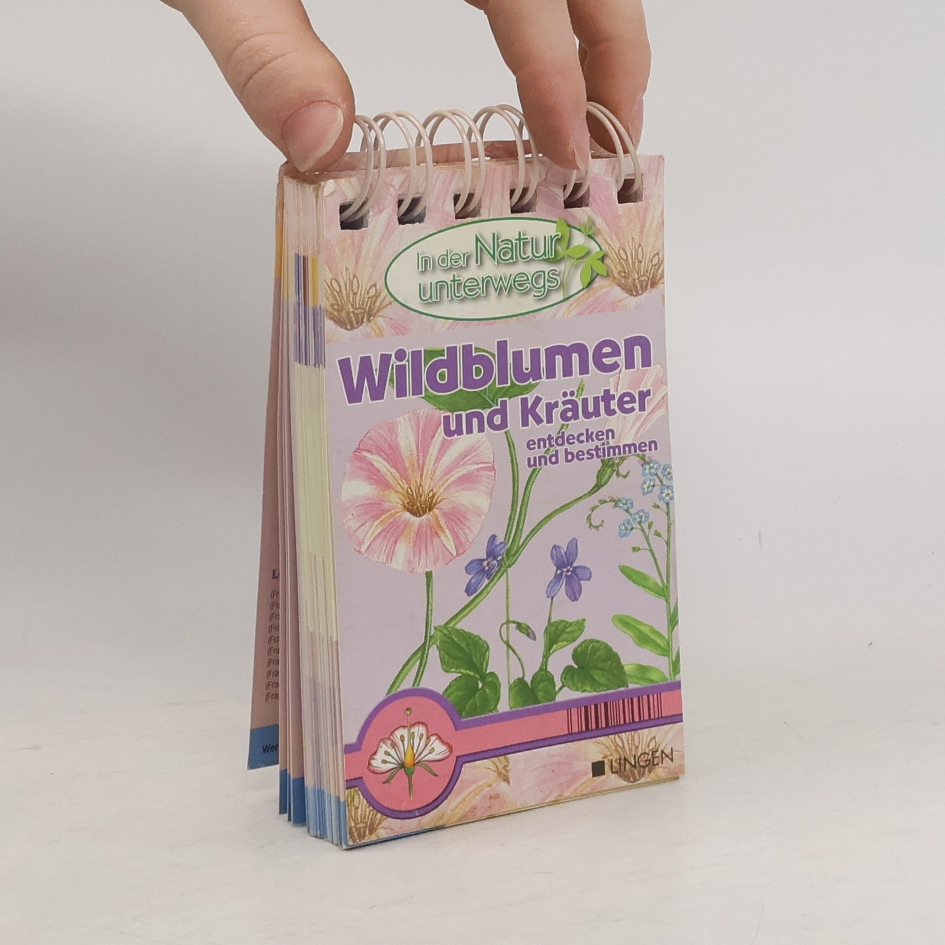 Kolektiv autorů Wildblumen und Kräuter entdecken und bestimmen