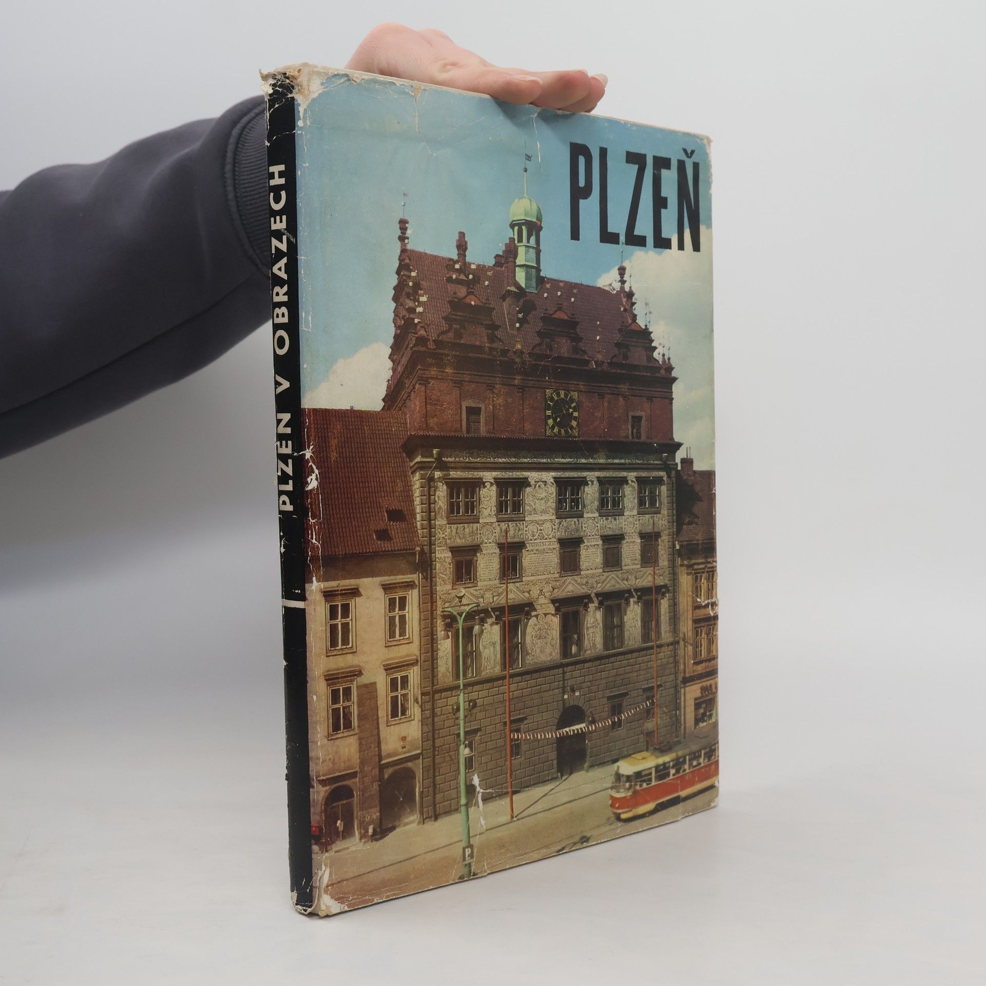 Kolektiv autorů Plzeň v obrazech