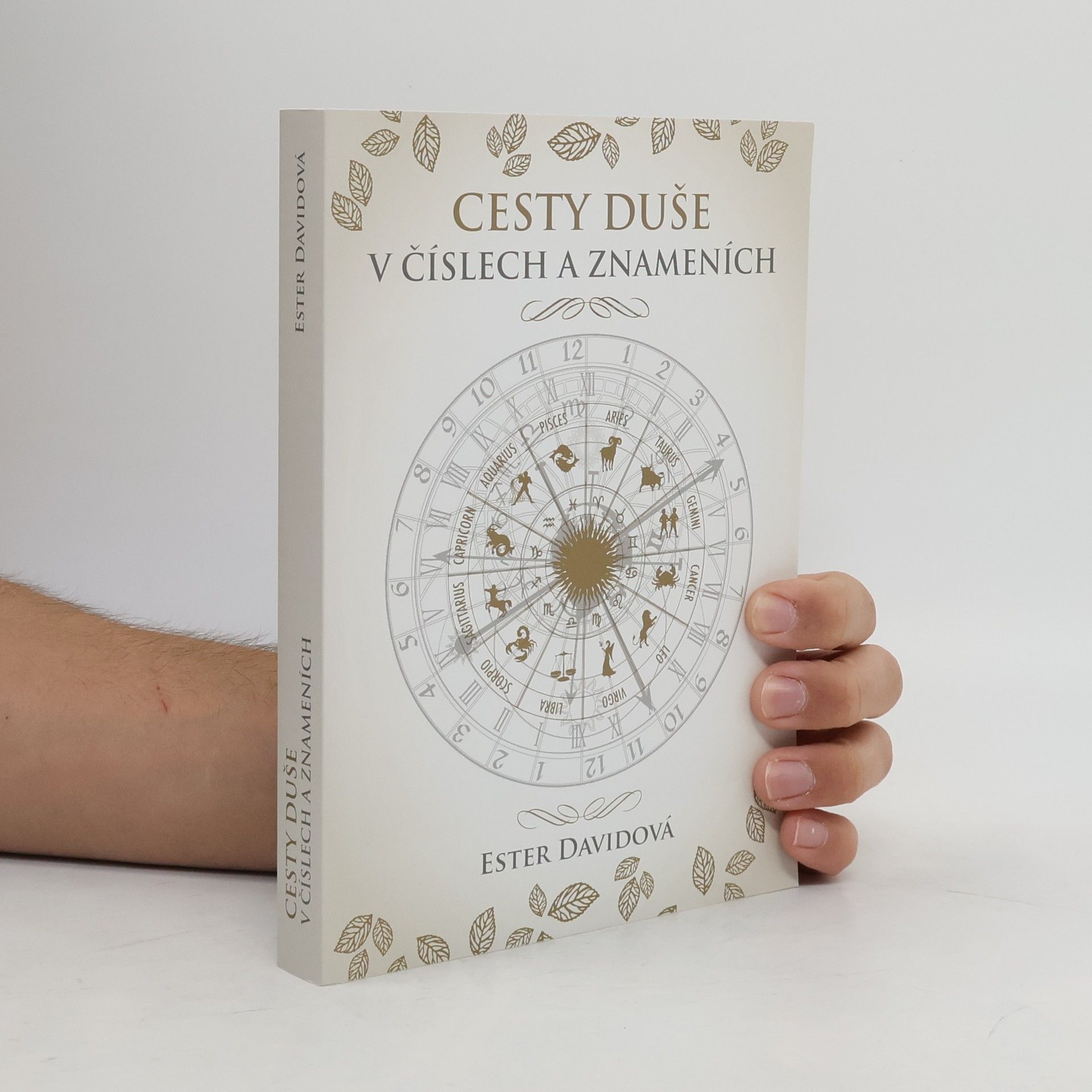 Ester Davidová Cesty duše v číslech a znameních