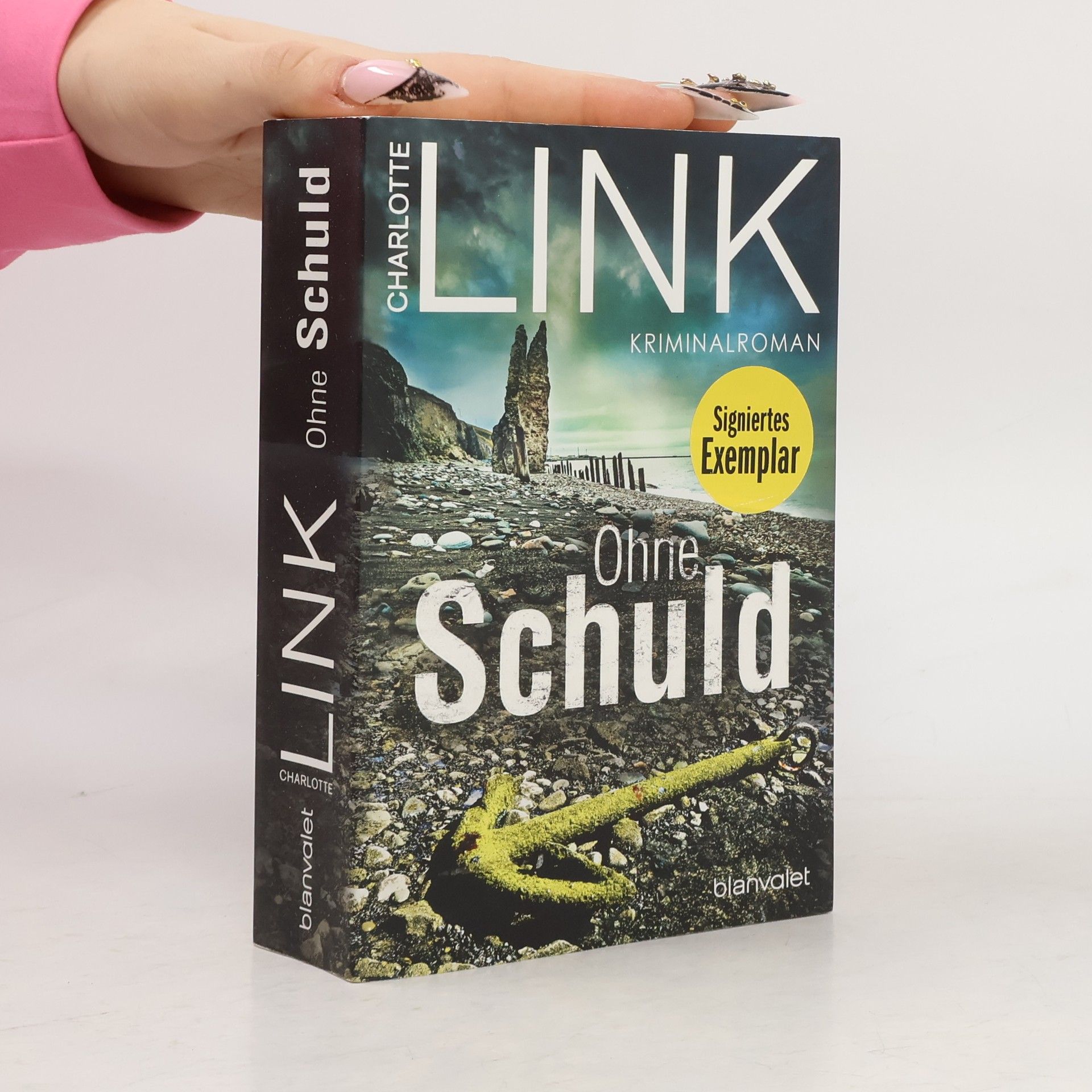 Charlotte Link Ohne Schuld