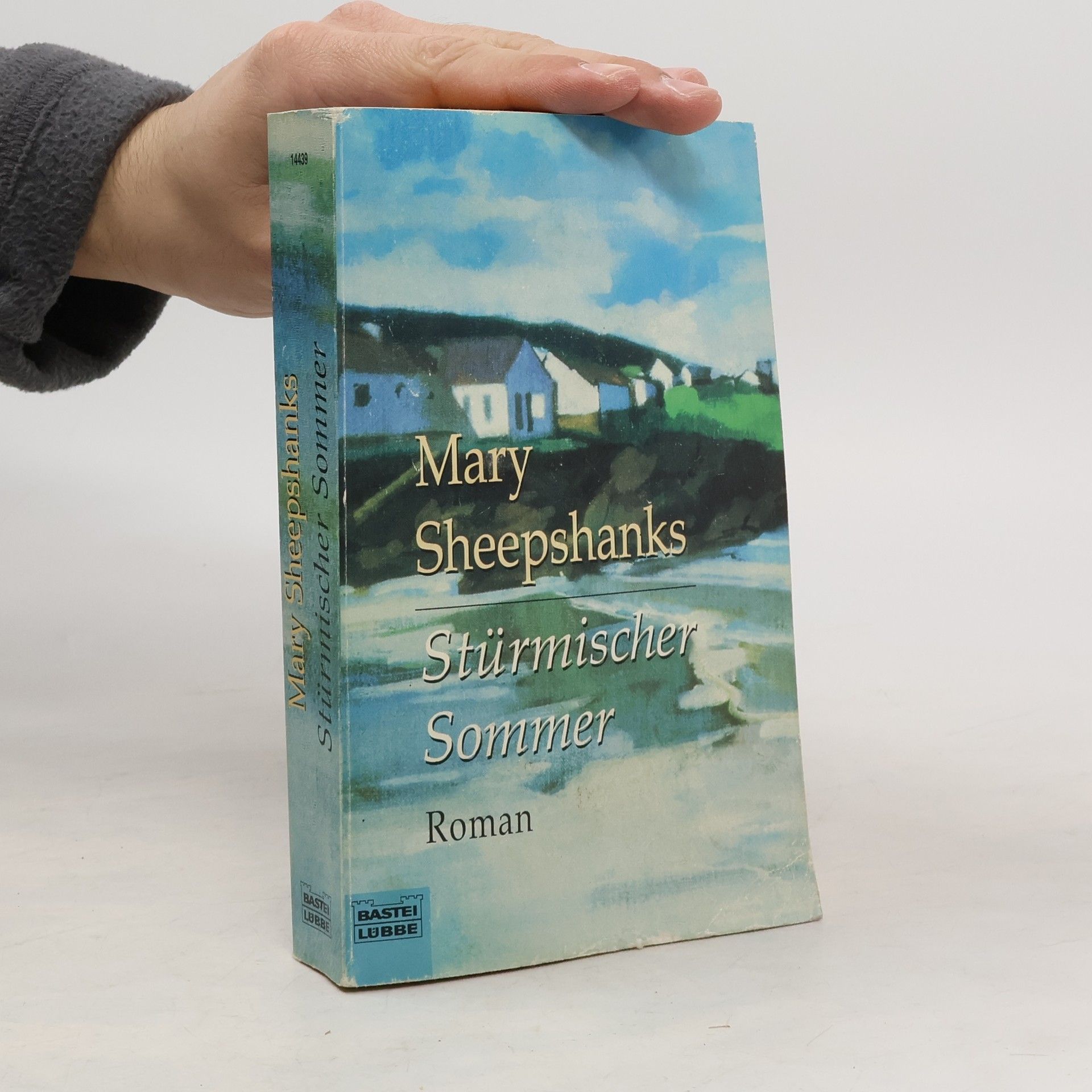 Mary Sheepshanks Stürmischer Sommer