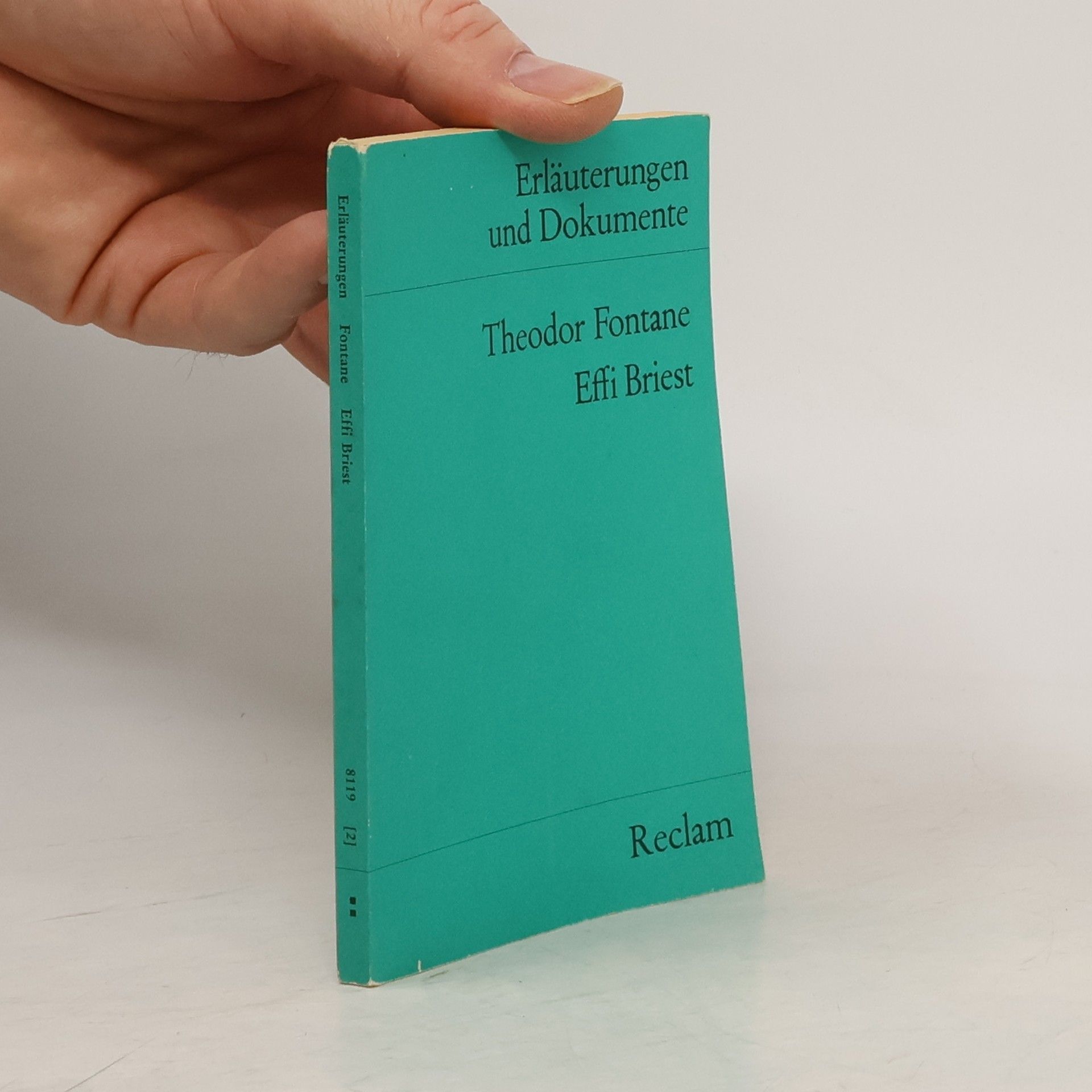 Theodor Fontane, Effi Briest