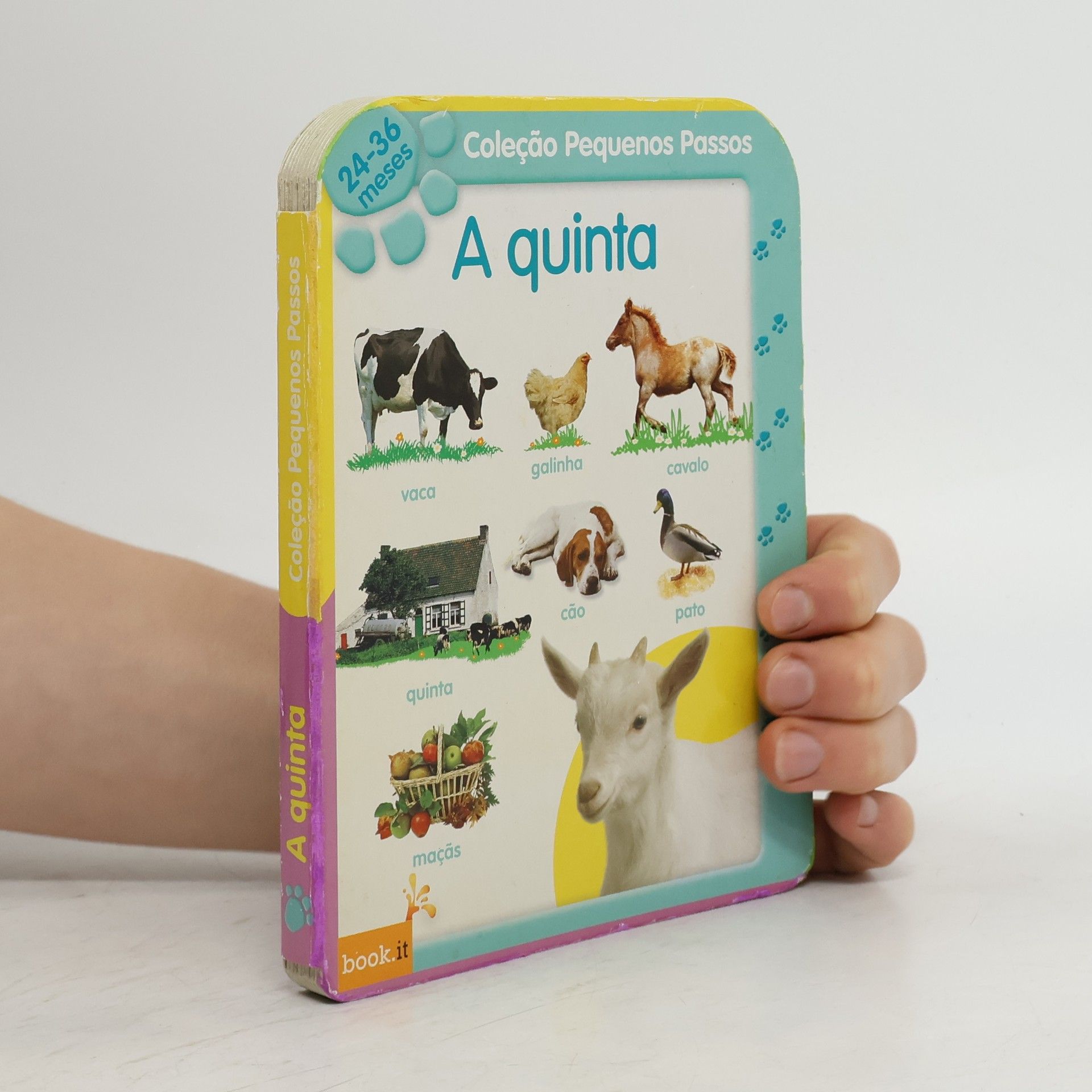 Autorenkollektiv A quinta