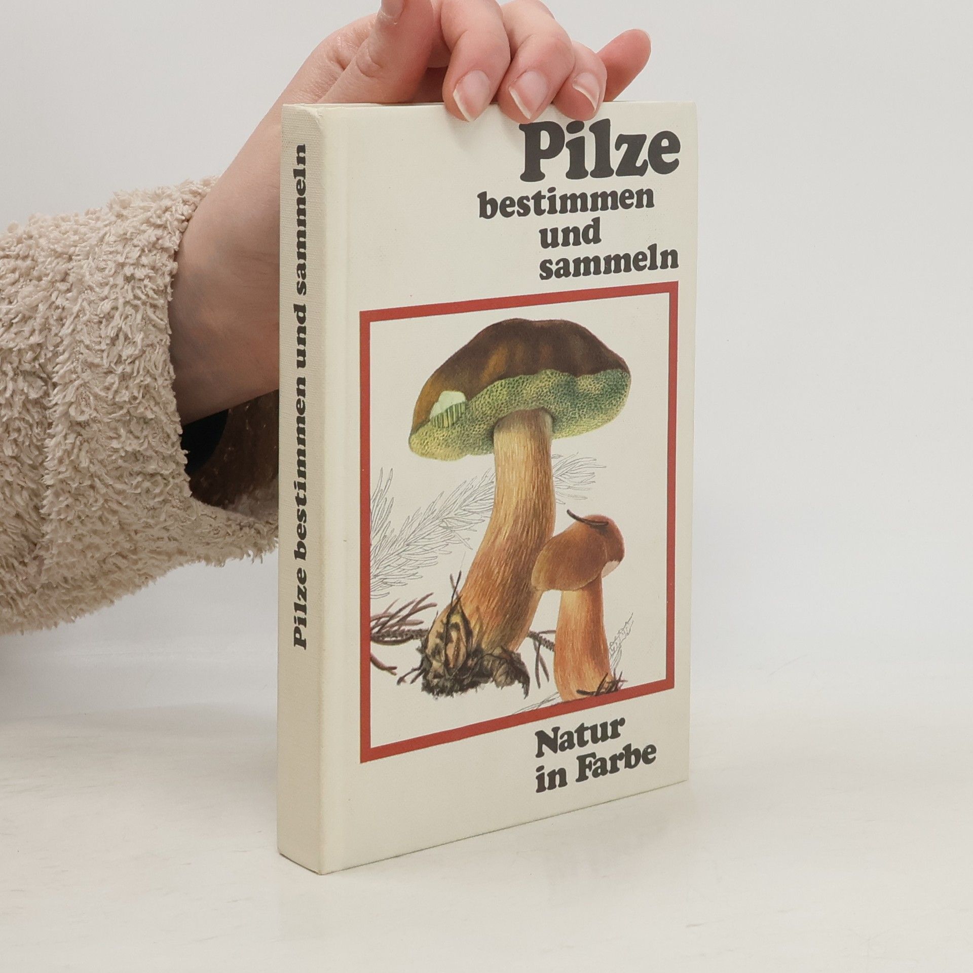 Vančura Pilze bestimmen und sammeln