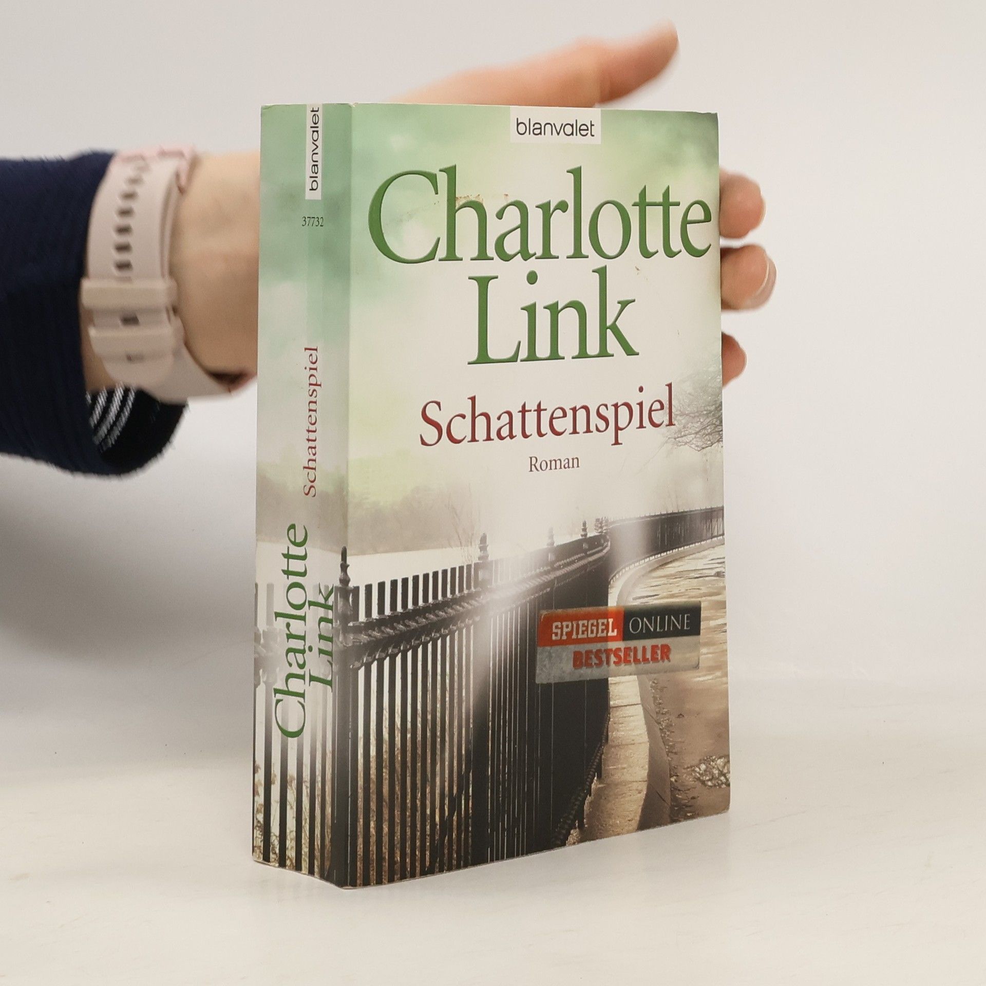 Charlotte Link Schattenspiel
