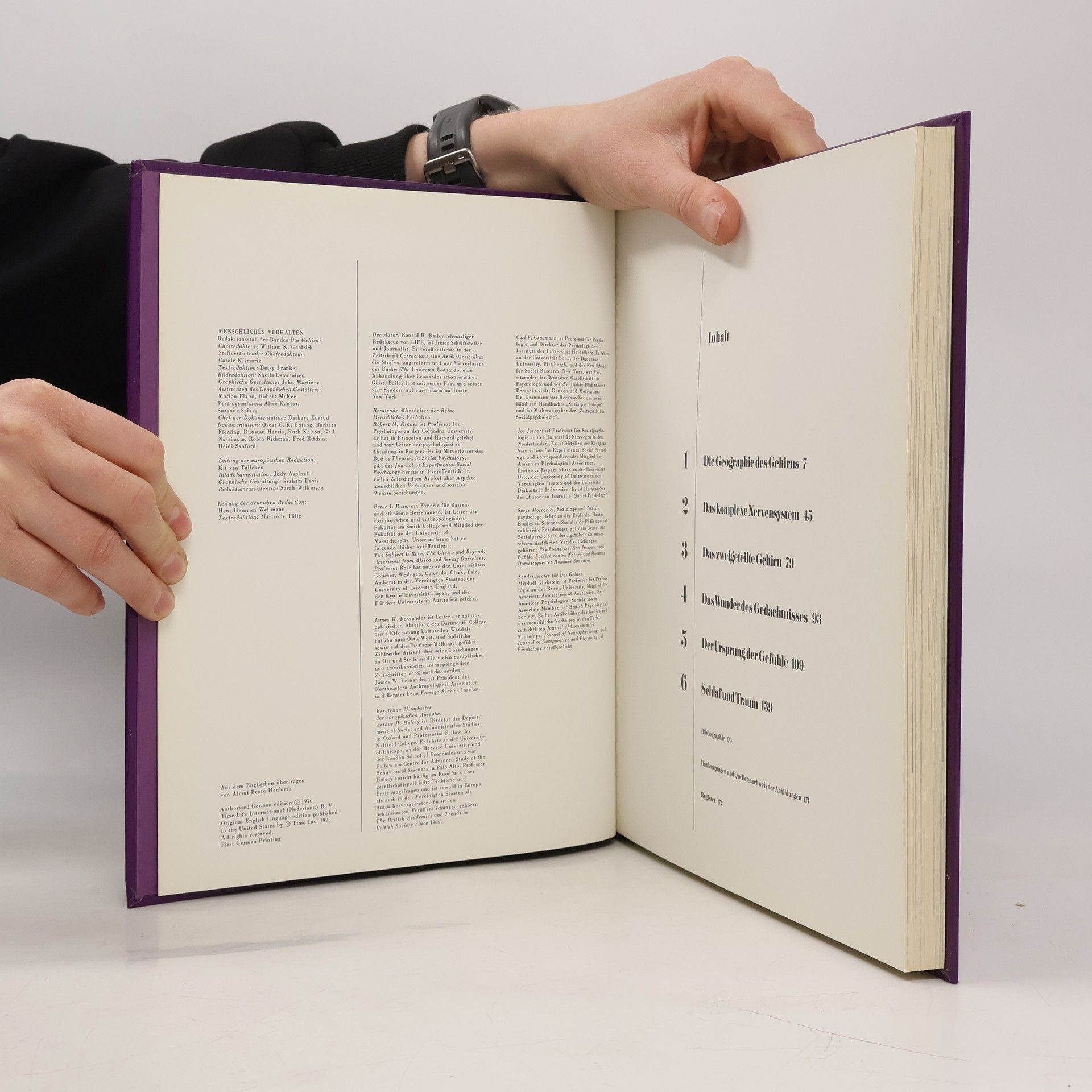 Autorenkollektiv Menschliches Verhalten. Das gehirn