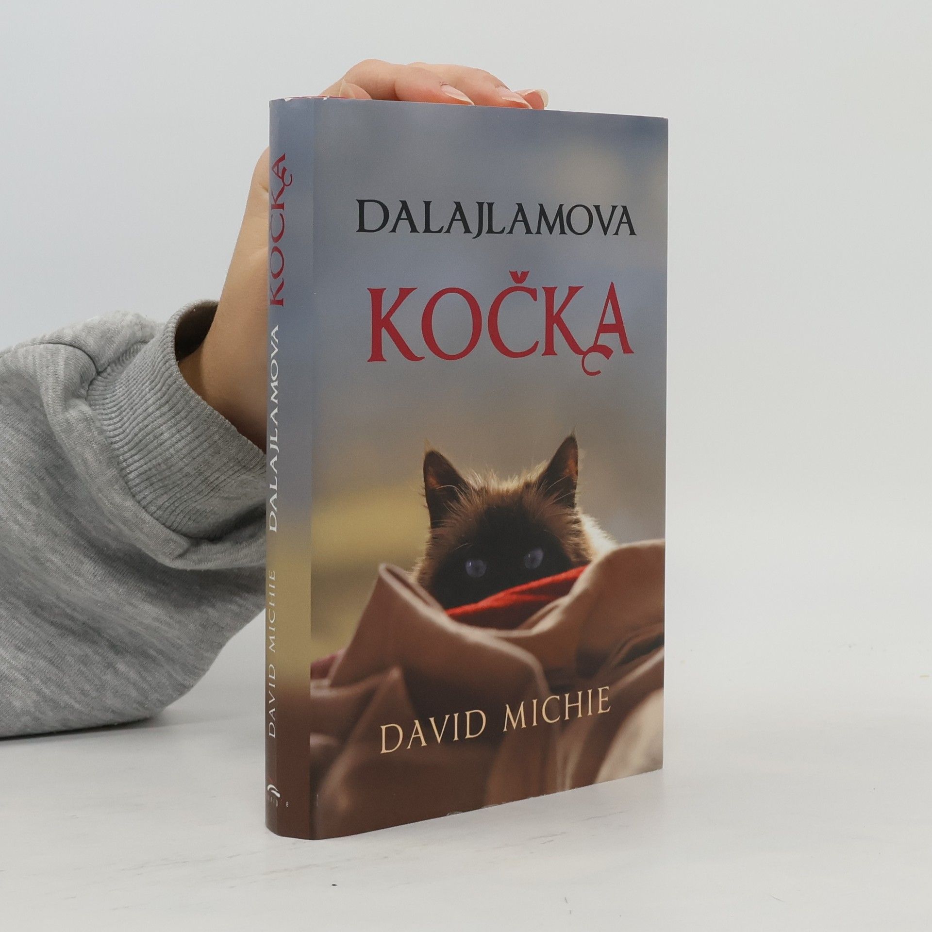 David Michie Dalajlamova kočka