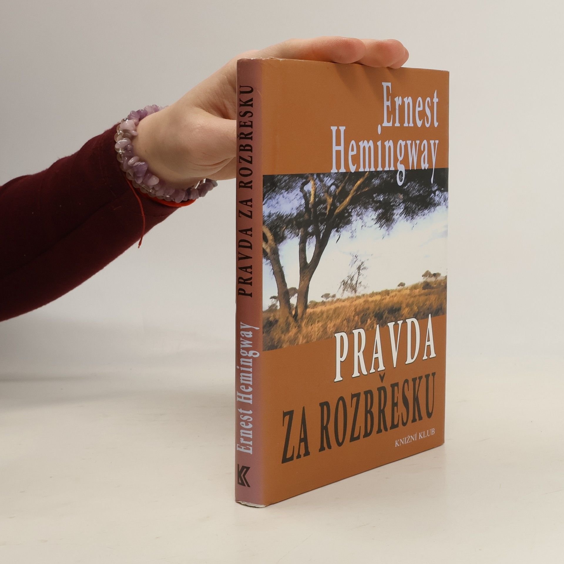 Ernest Hemingway Pravda za rozbřesku