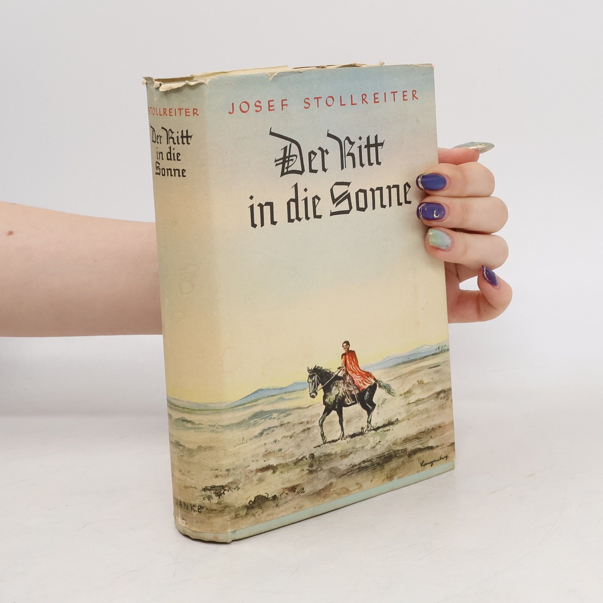 Josef Stollreiter Der Kitt in die Sonne