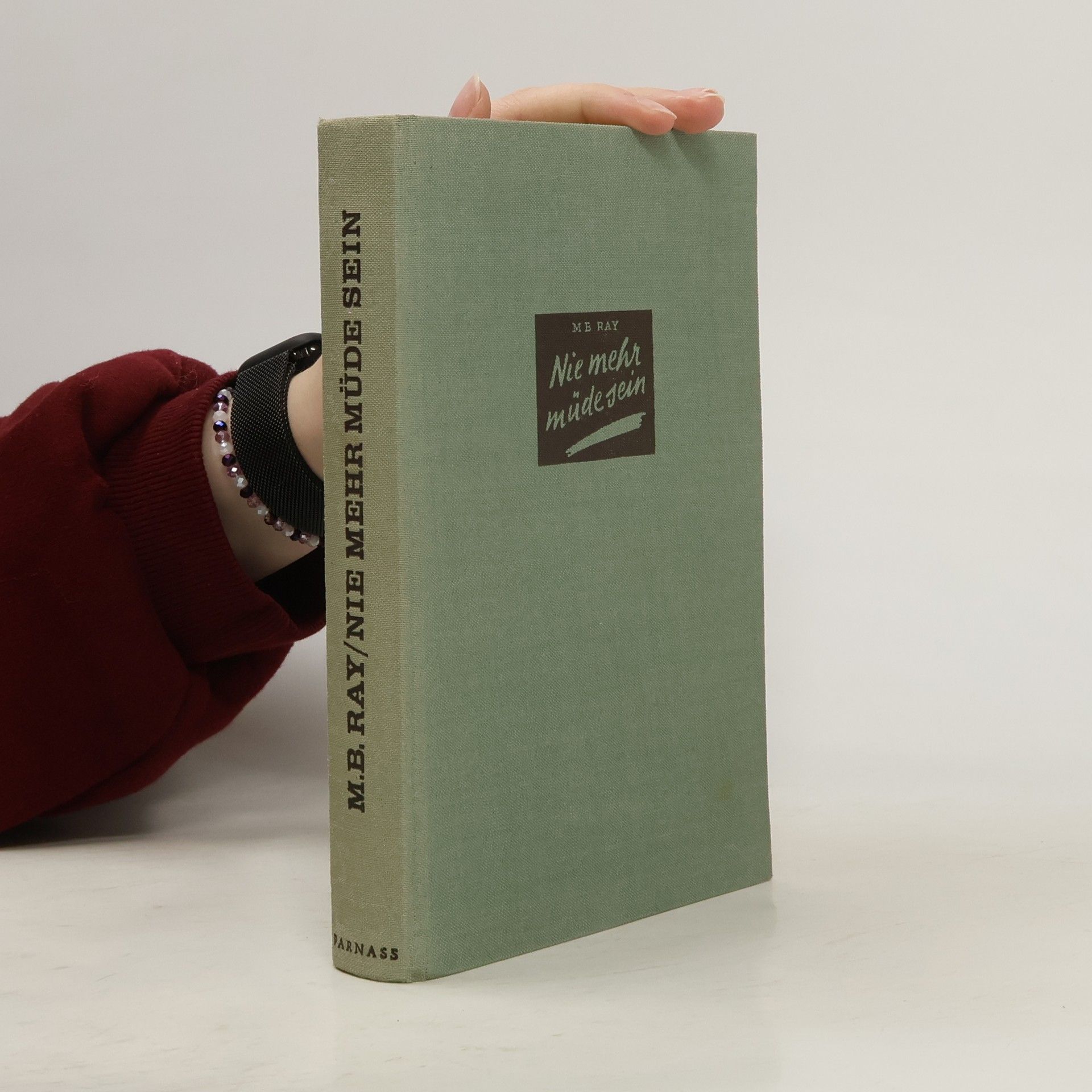 M. B. Ray Nie mehr müde sein