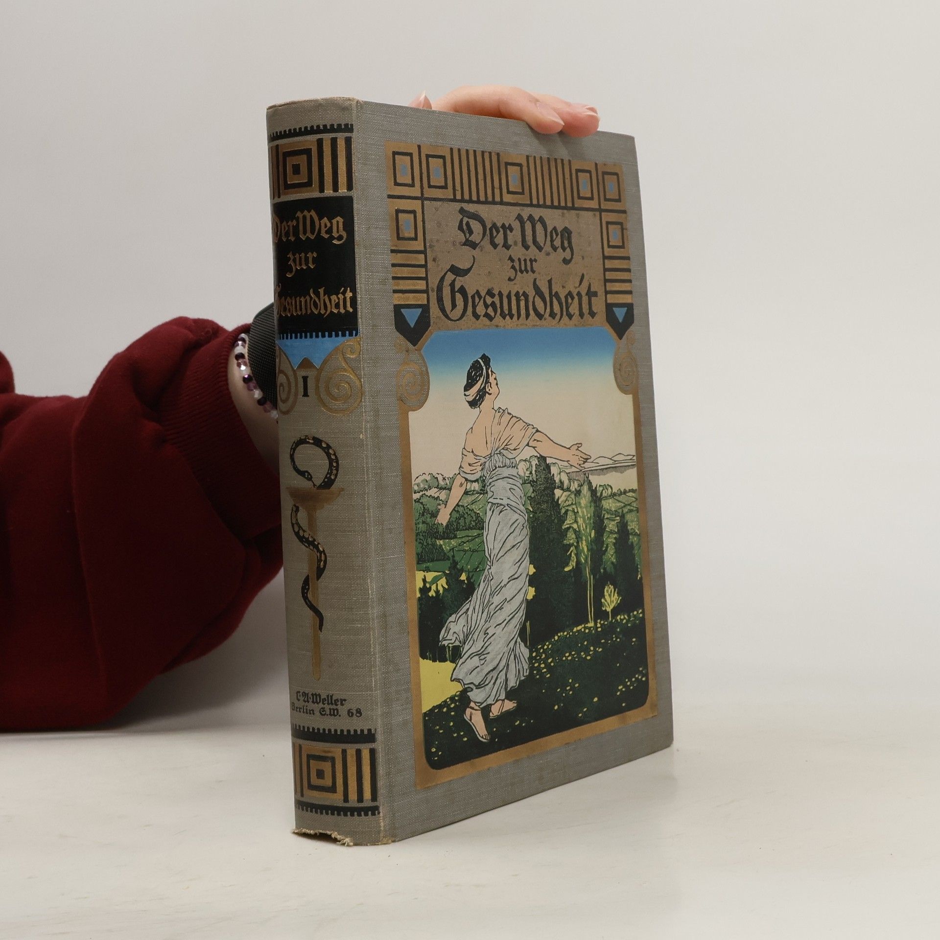 Autorenkollektiv Der Weg zur Gesundheit 2. Band