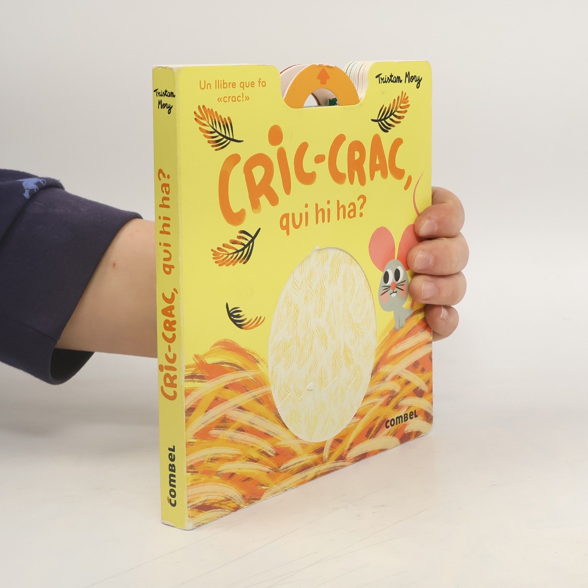 Tristan Mory Cric-crac, qui hi ha?