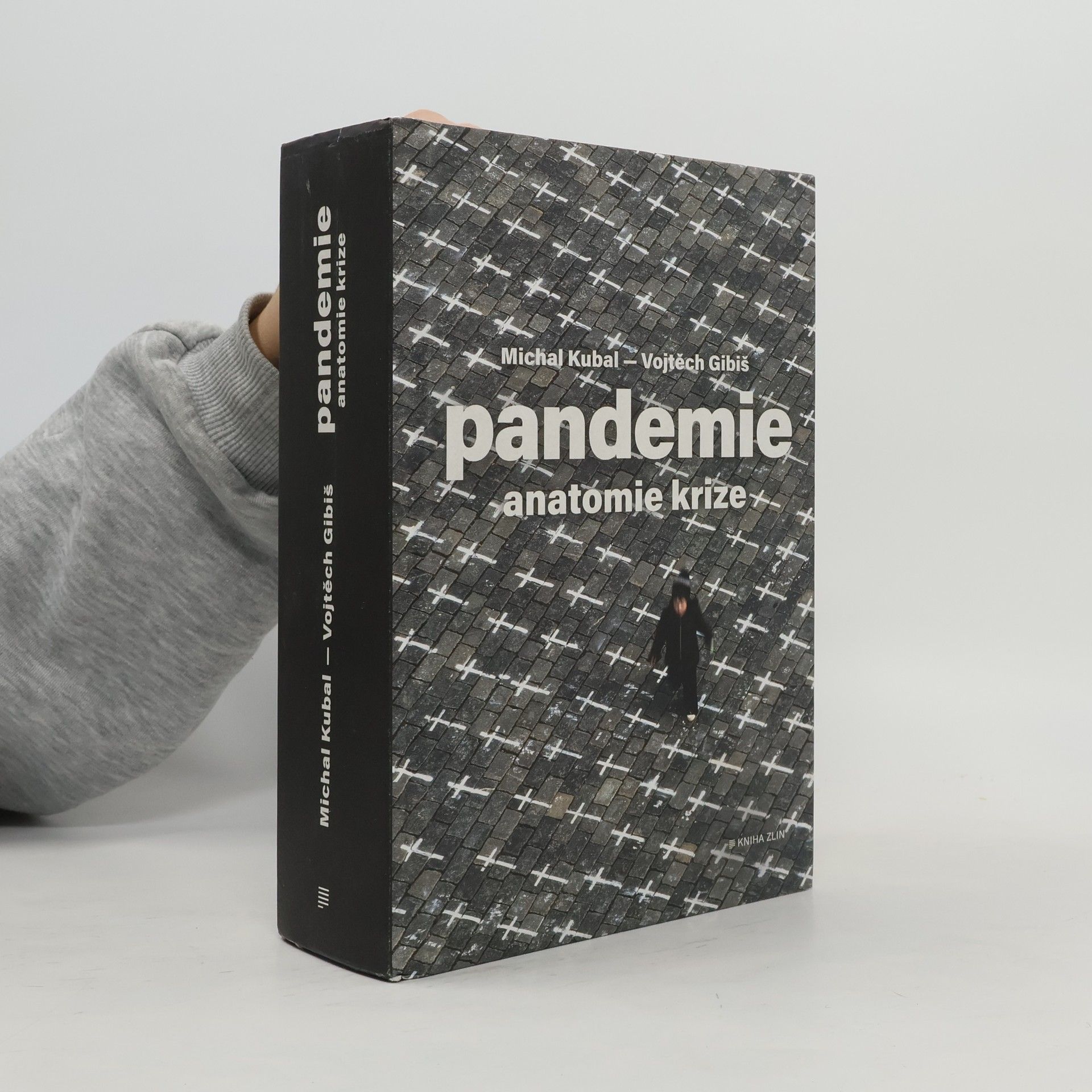 Pandemie : anatomie krize
