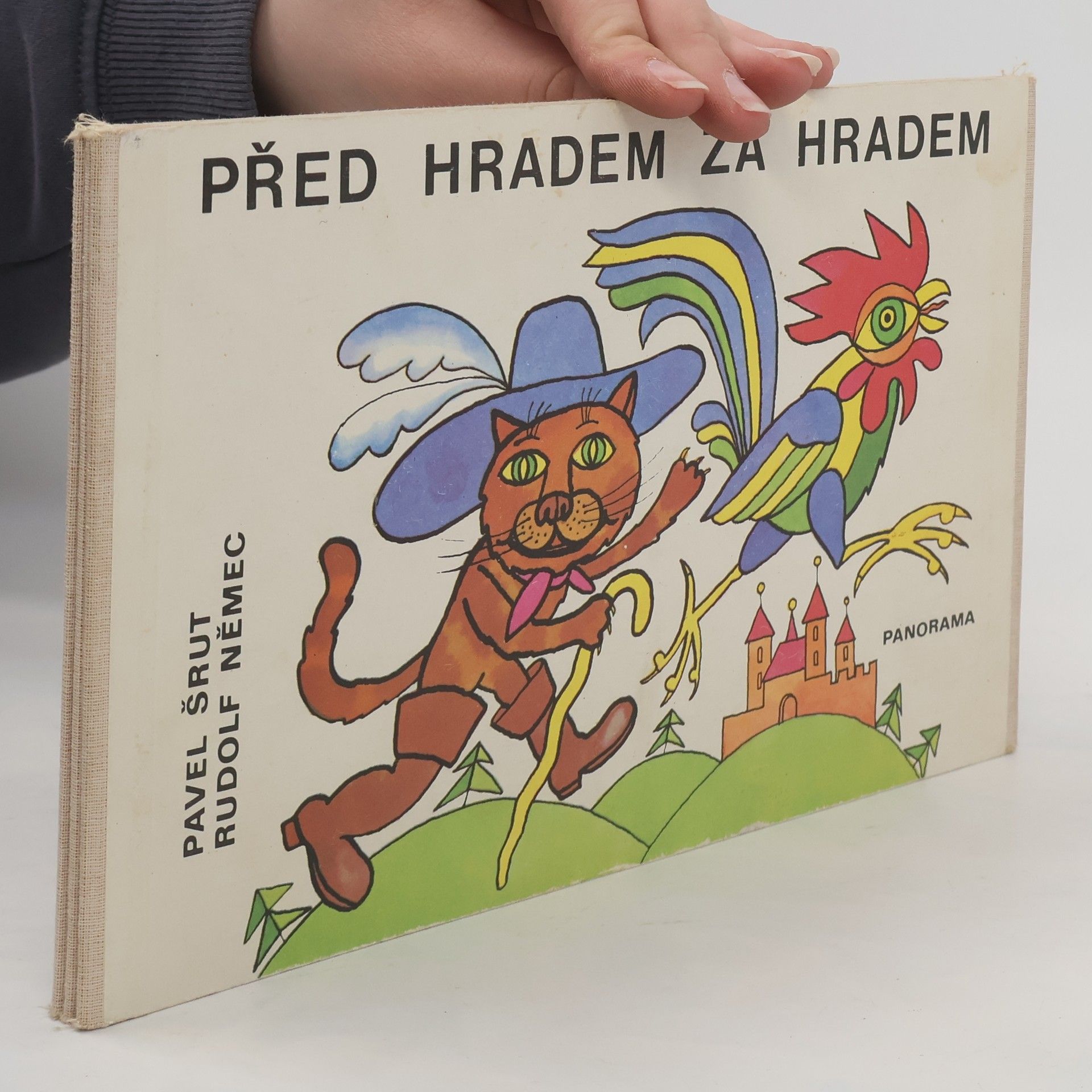 Pavel Šrut Před hradem za hradem