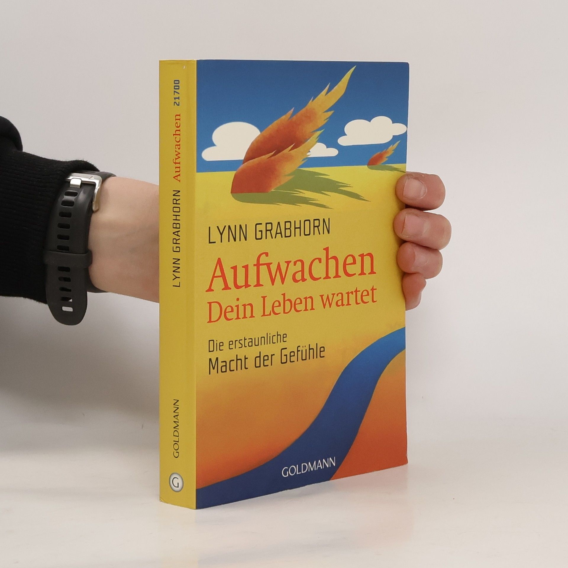 Lynn Grabhorn Aufwachen. Dein Leben wartet