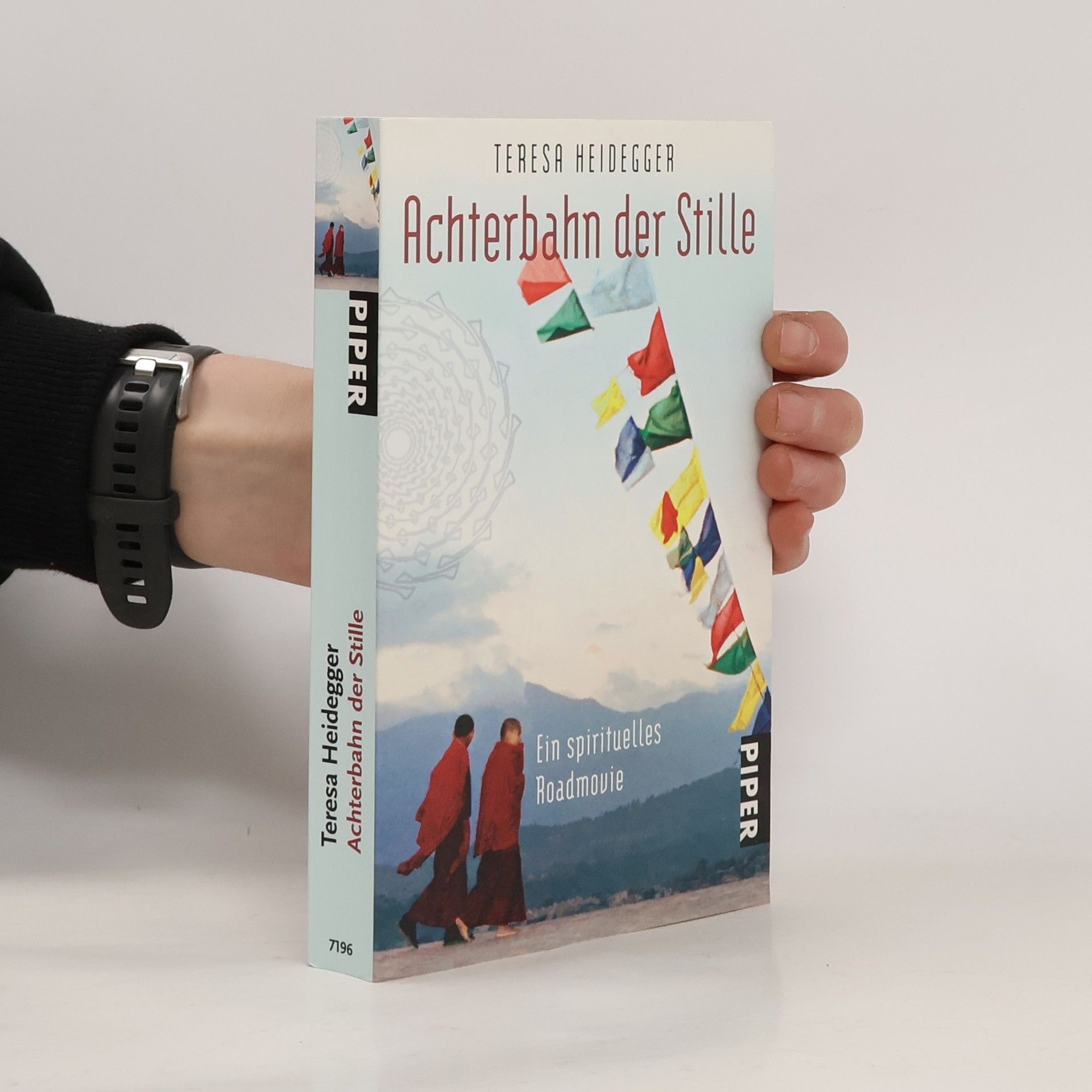 Teresa Heidegger Achterbahn der Stille