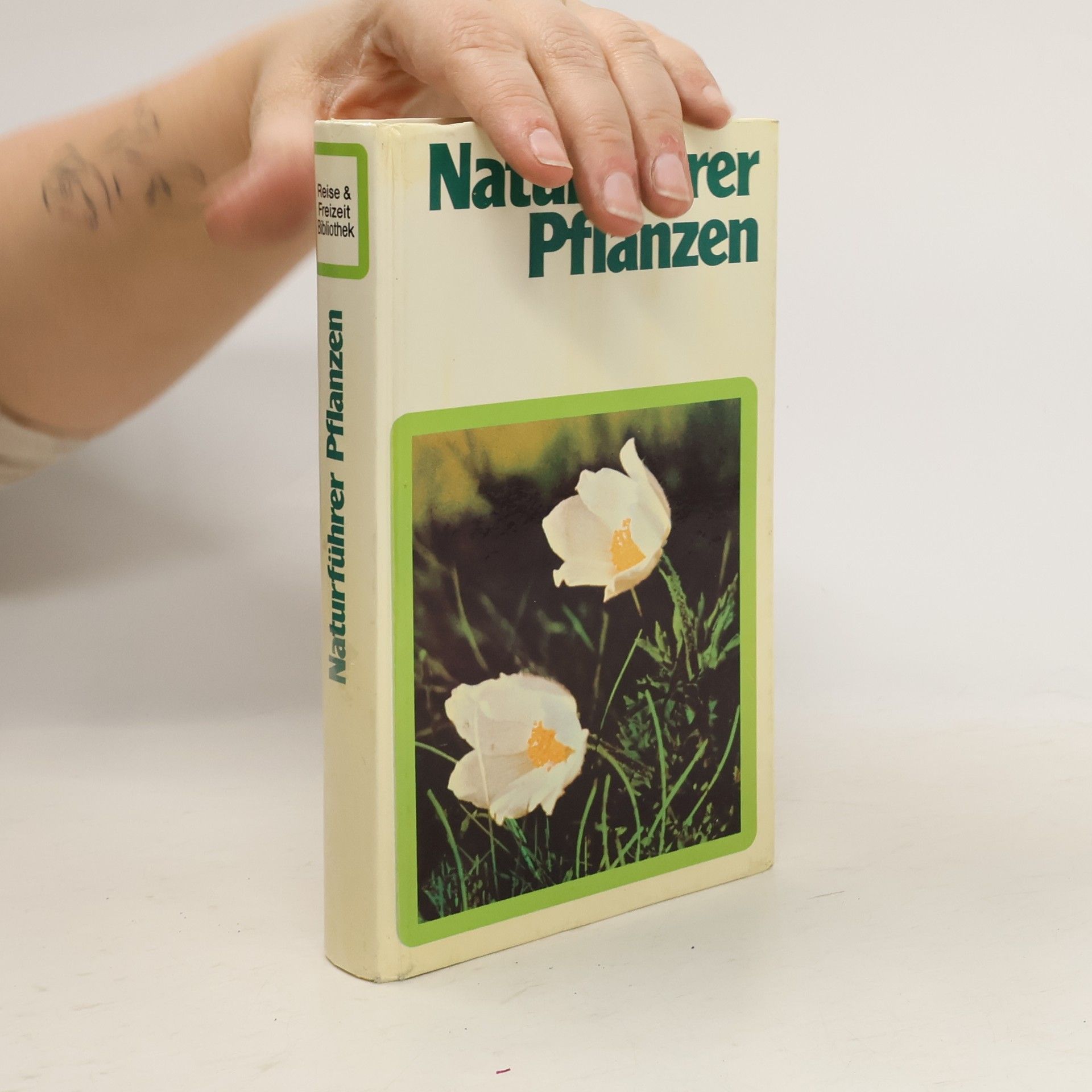 kolektiv Naturführer Pflanzen