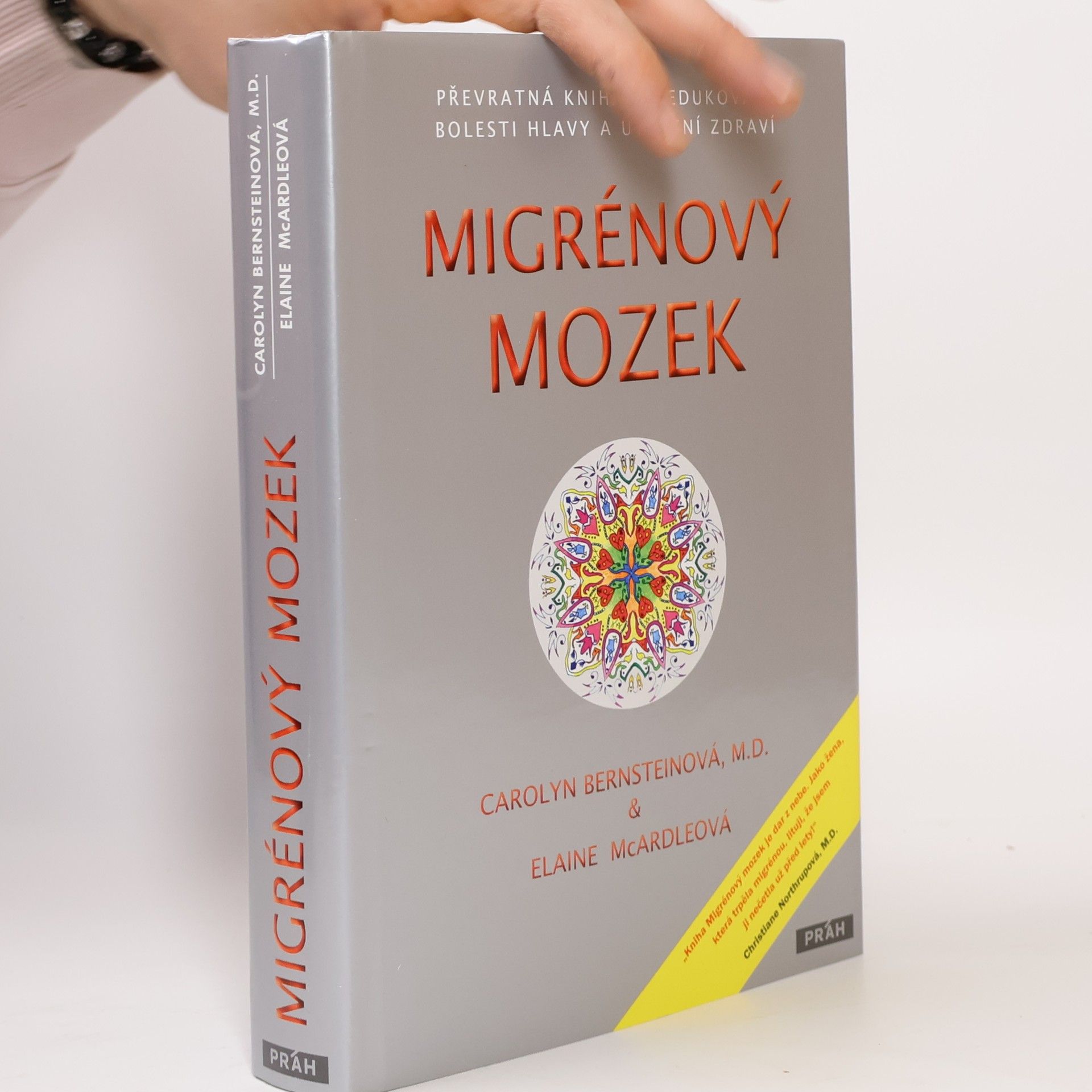 Carolyn Bernstein Migrénový mozek