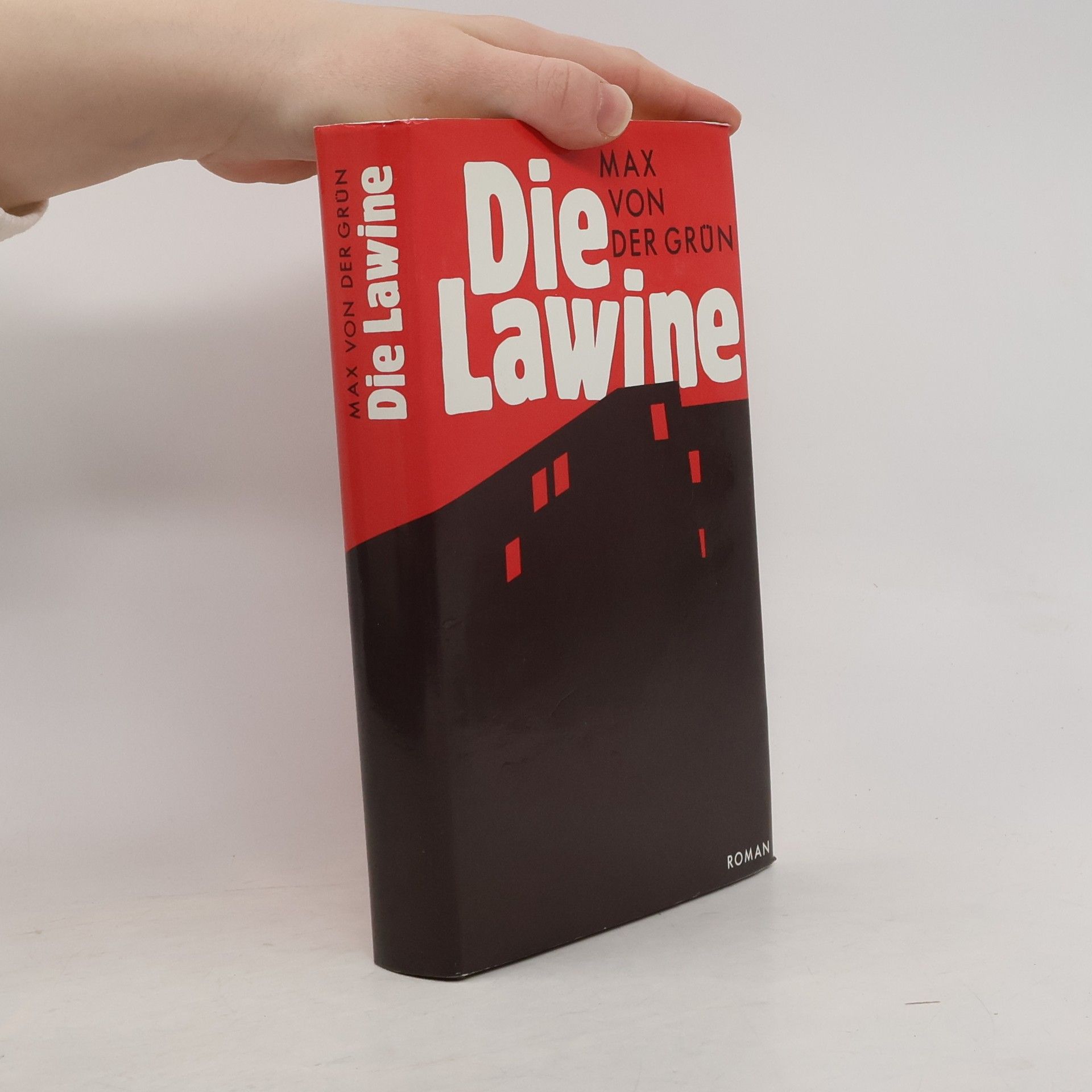 Max von der Grün Die Lawine