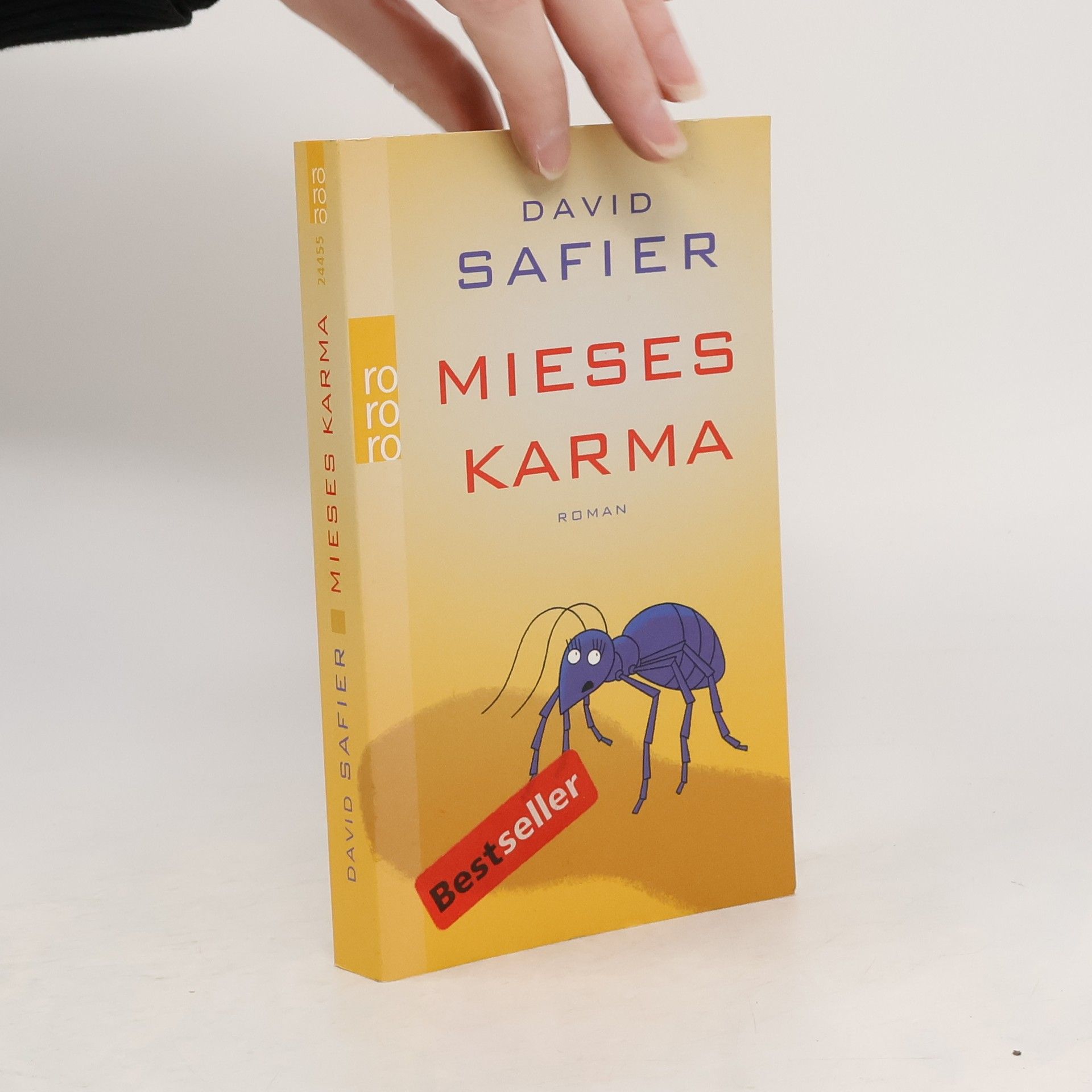 David Safier Mieses Karma