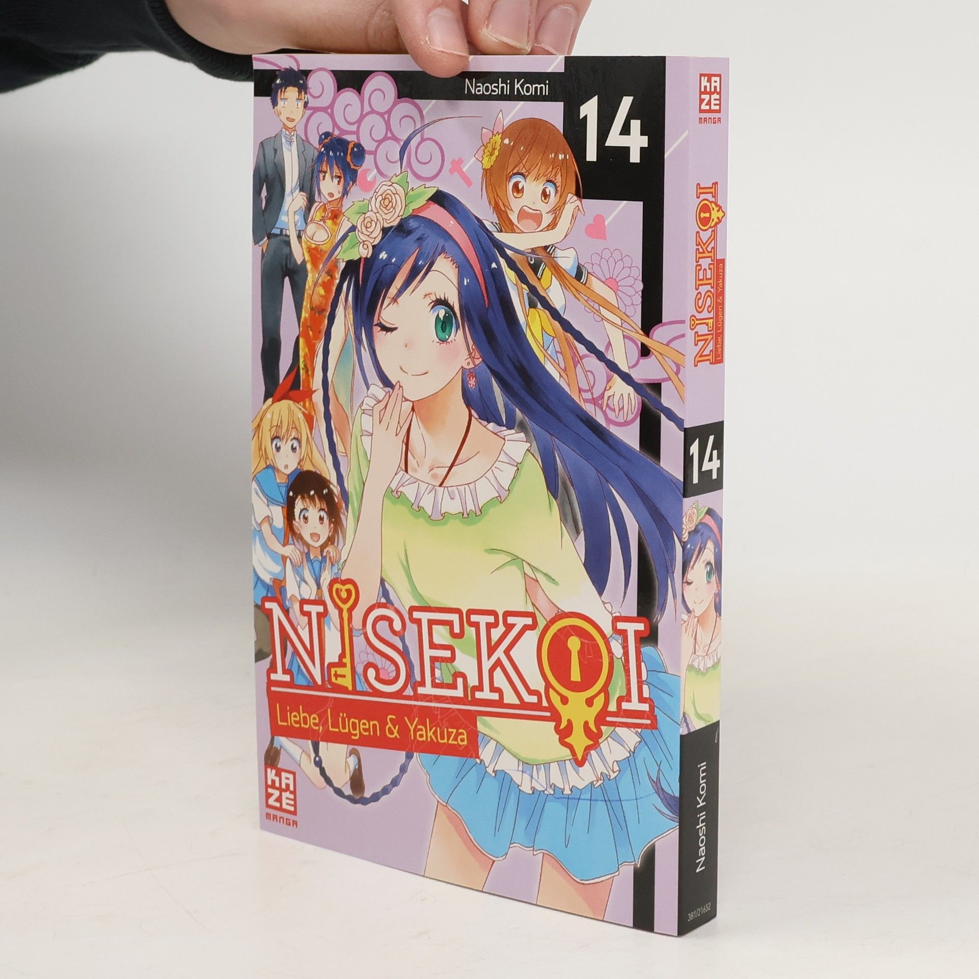 Naoshi Komi Die große Schwester