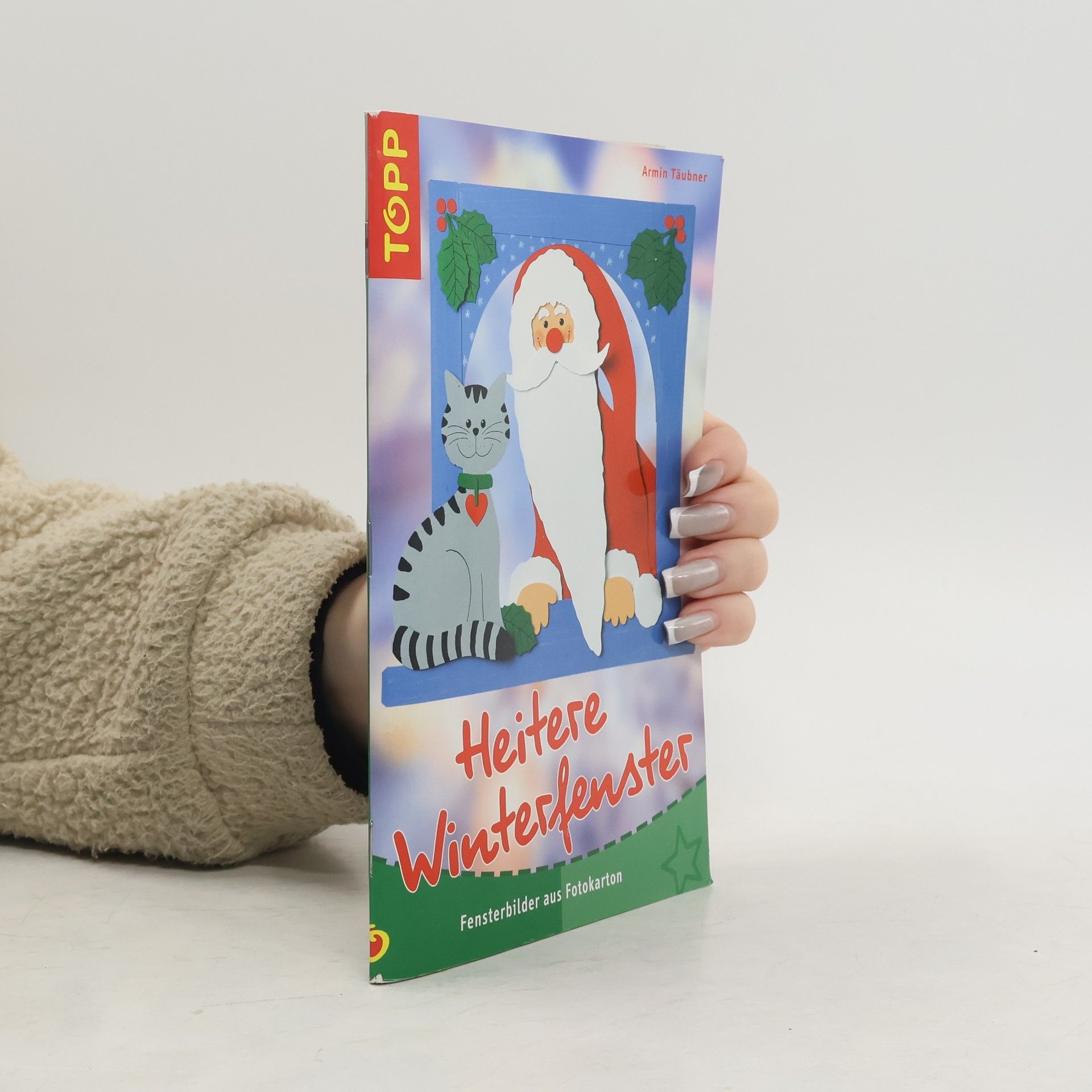 Armin Täubner Heitere Winterfenster