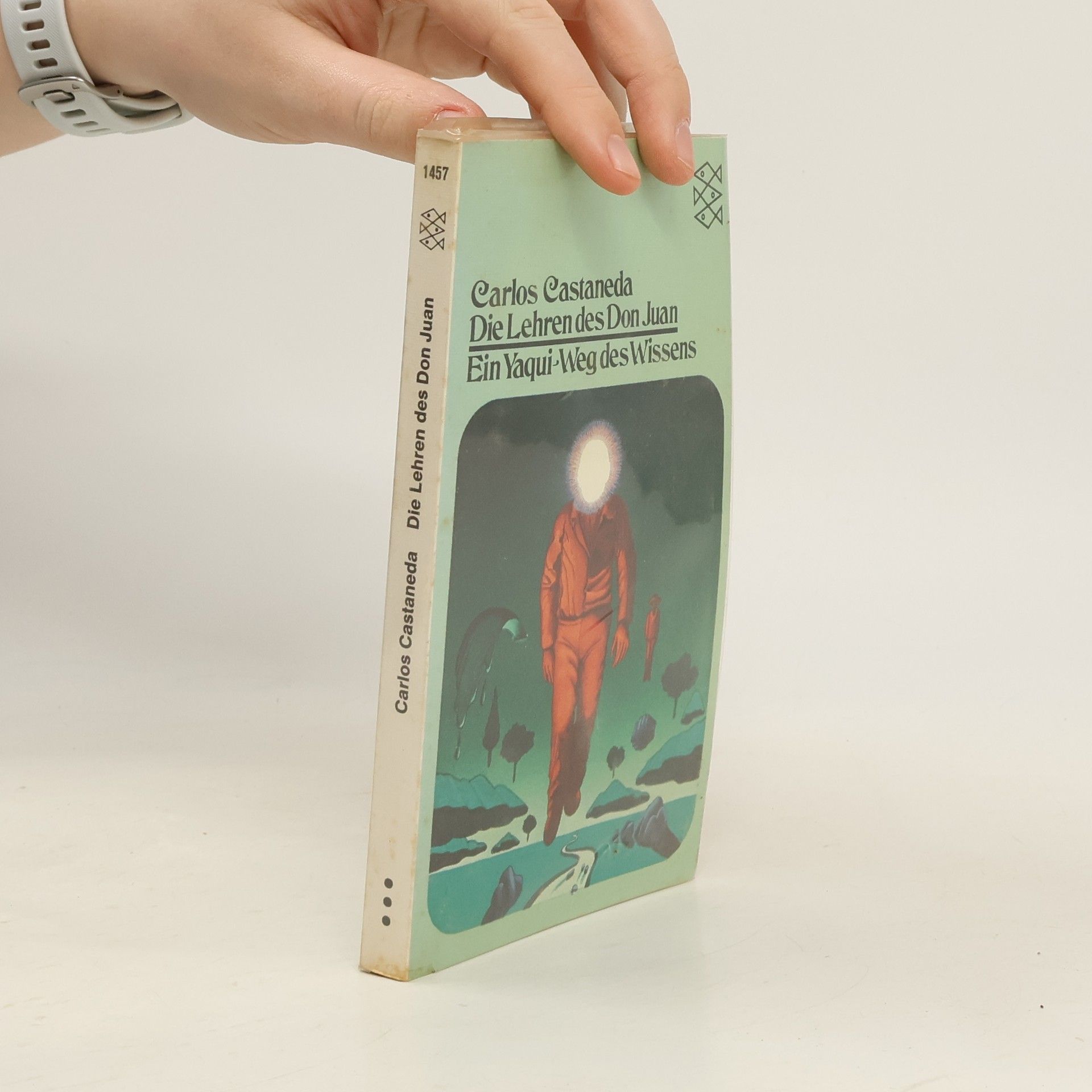 Carlos Castaneda Die Lehren des Don Juan