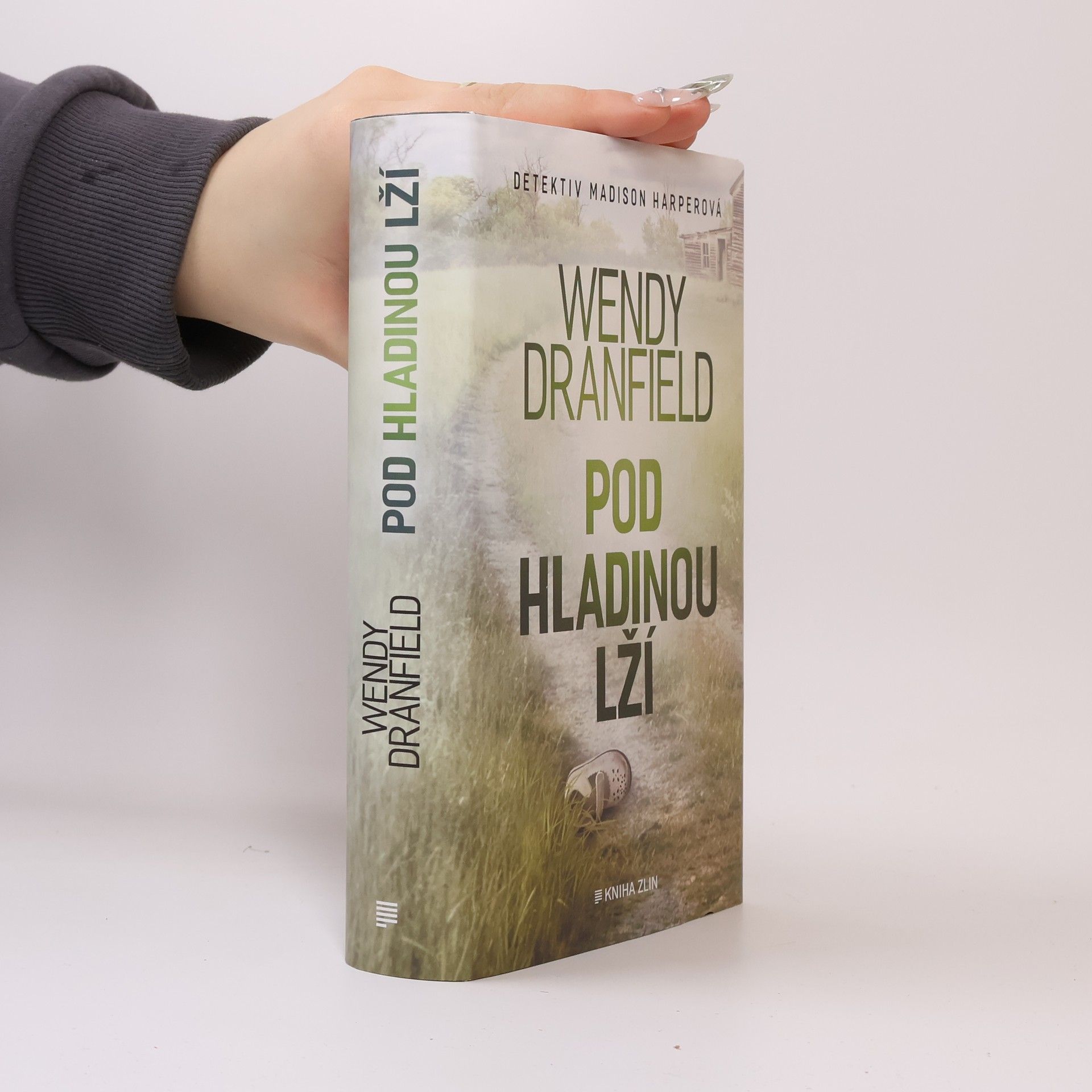 Wendy Dranfield Pod hladinou lží