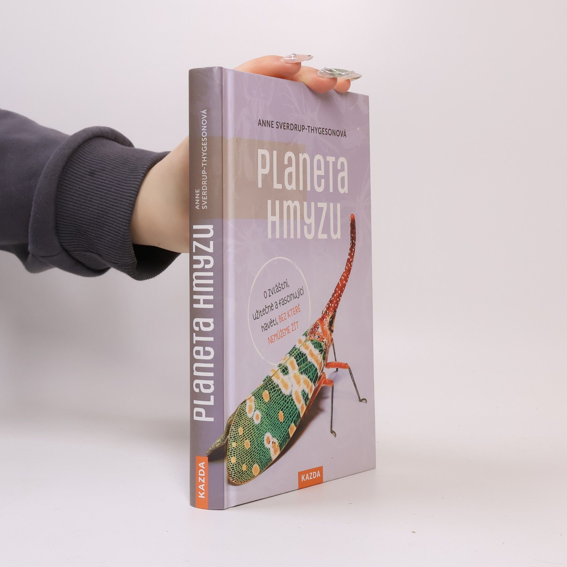 Autorenkollektiv Planeta hmyzu : o zvláštní, užitečné a fascinující havěti, bez které nemůžeme žít