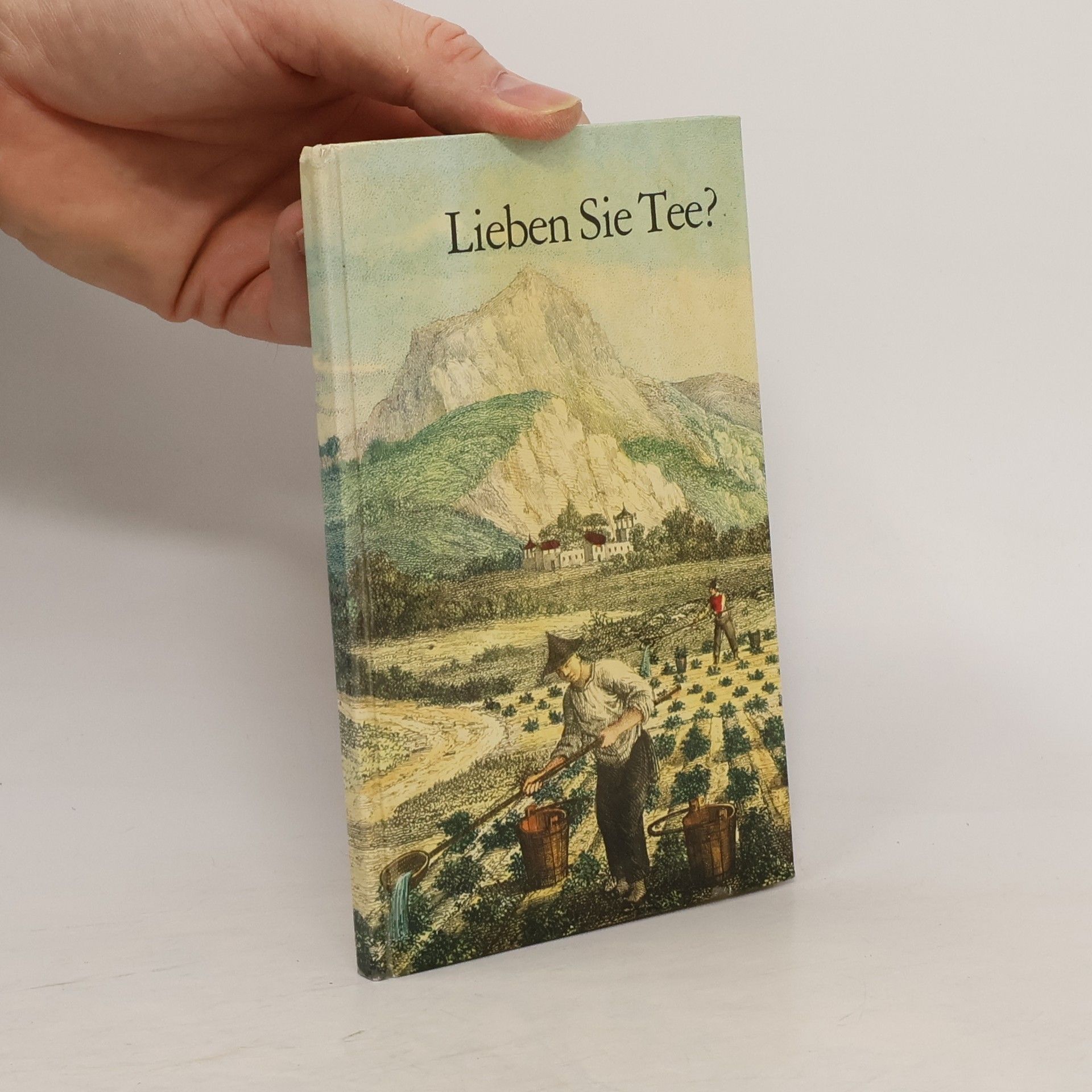 Autorenkollektiv Lieben Sie Tee?