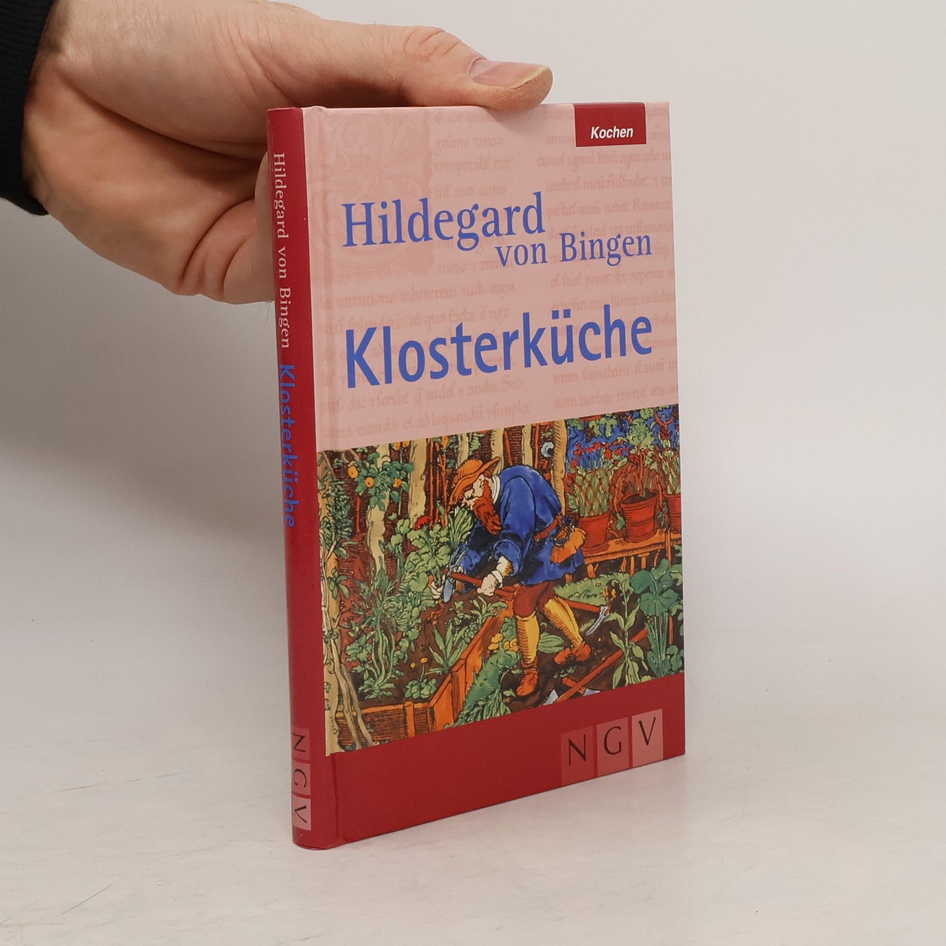 Hildegard von Bingen, Klosterküche
