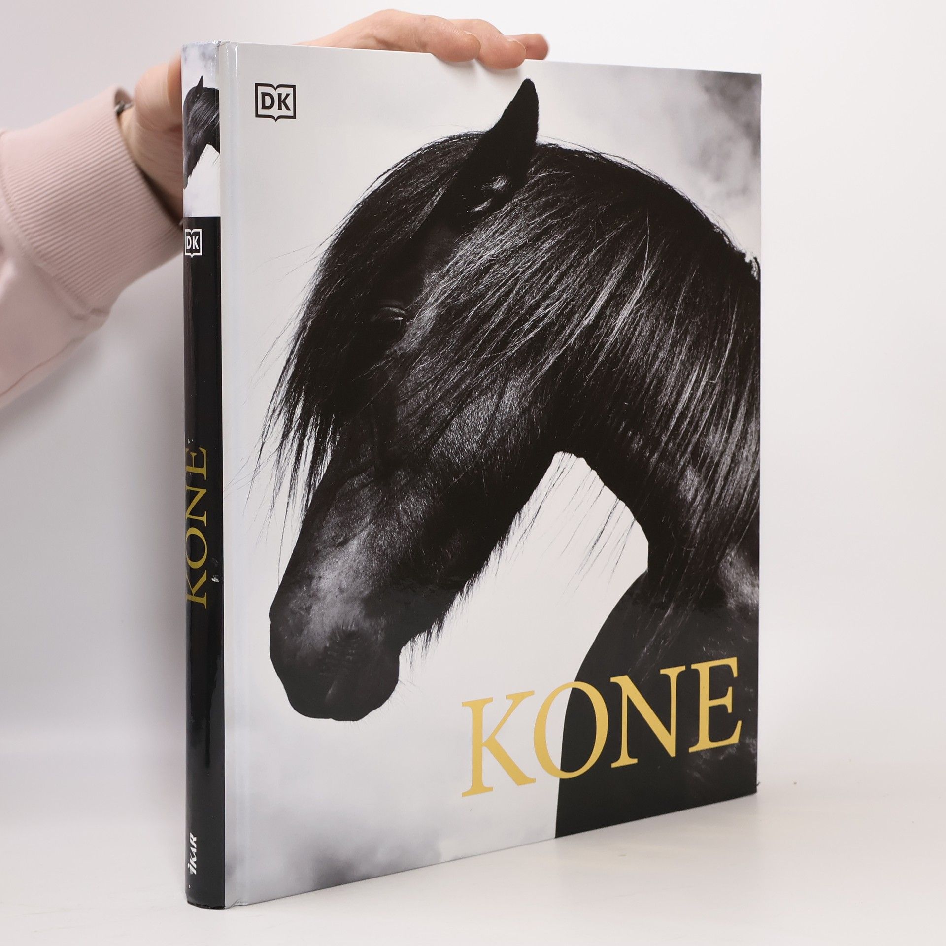 Collectif d'auteurs Kone