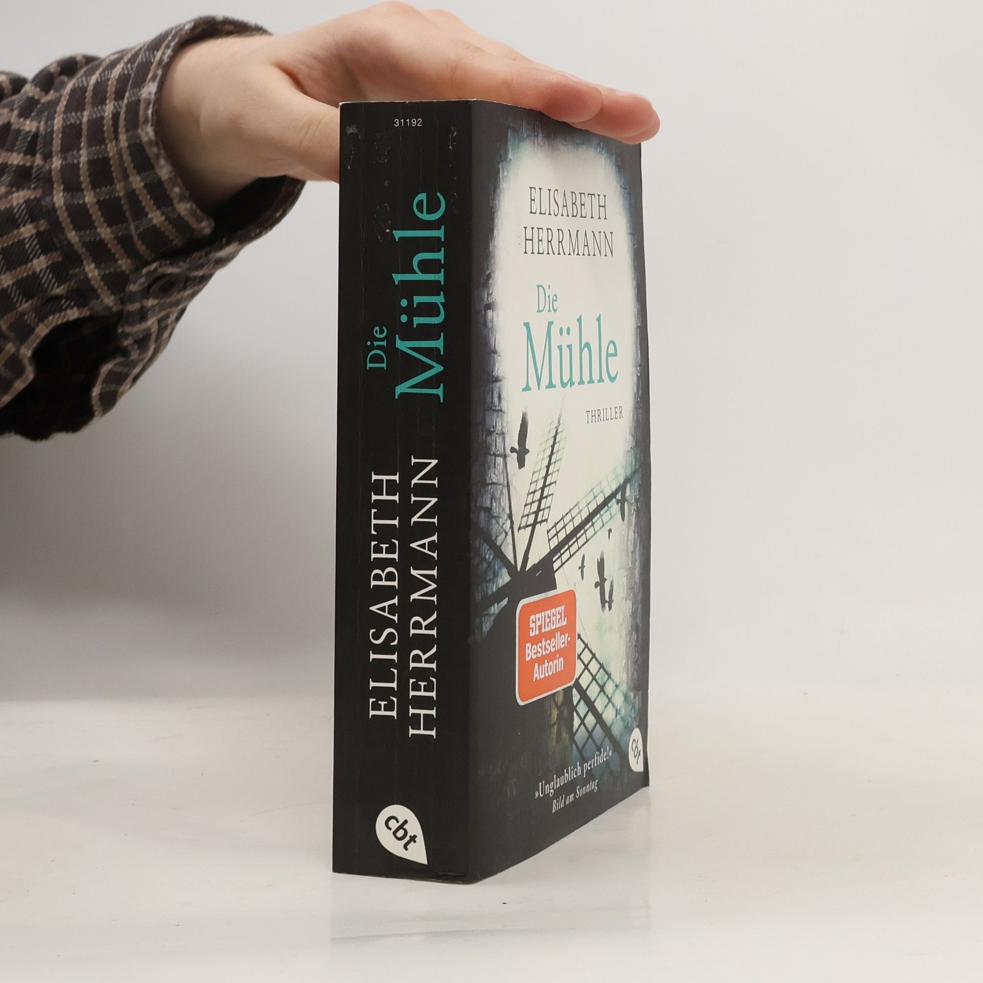 Elisabeth Hermann Die Mühle