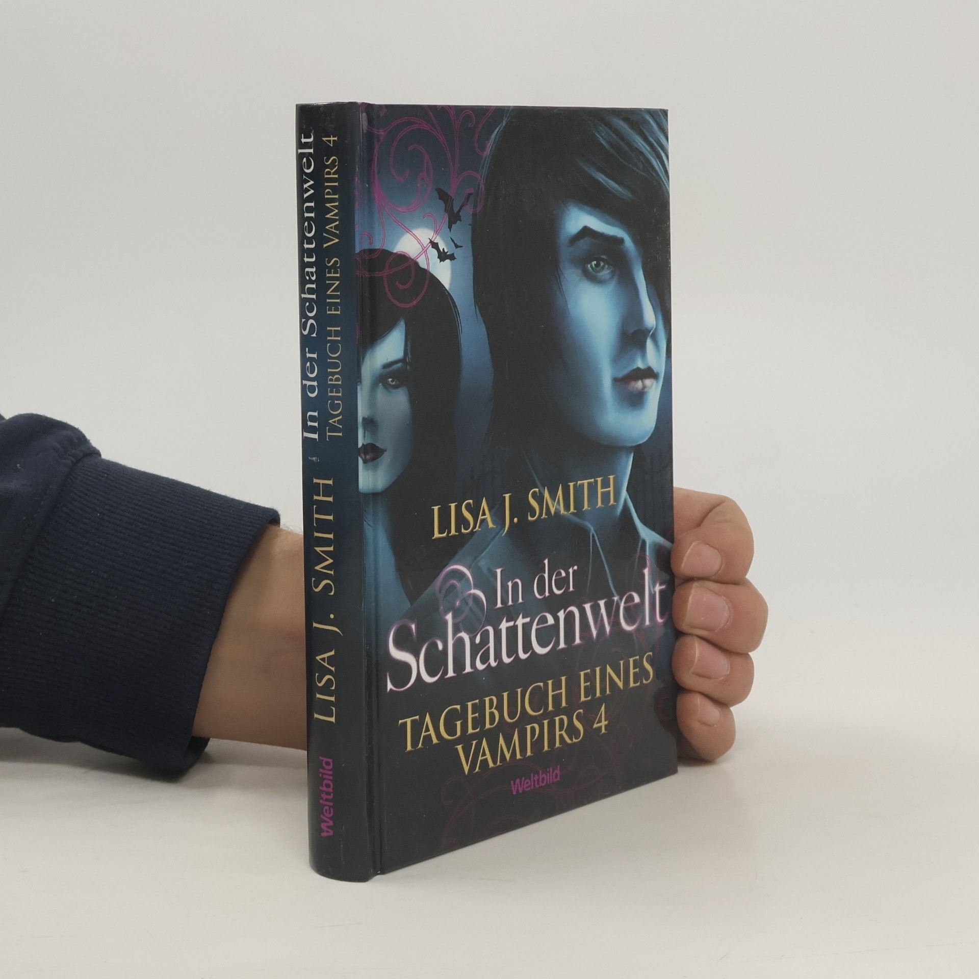 L. J. Smithová  Tagebuch eines Vampirs 4. In der Schattenwelt