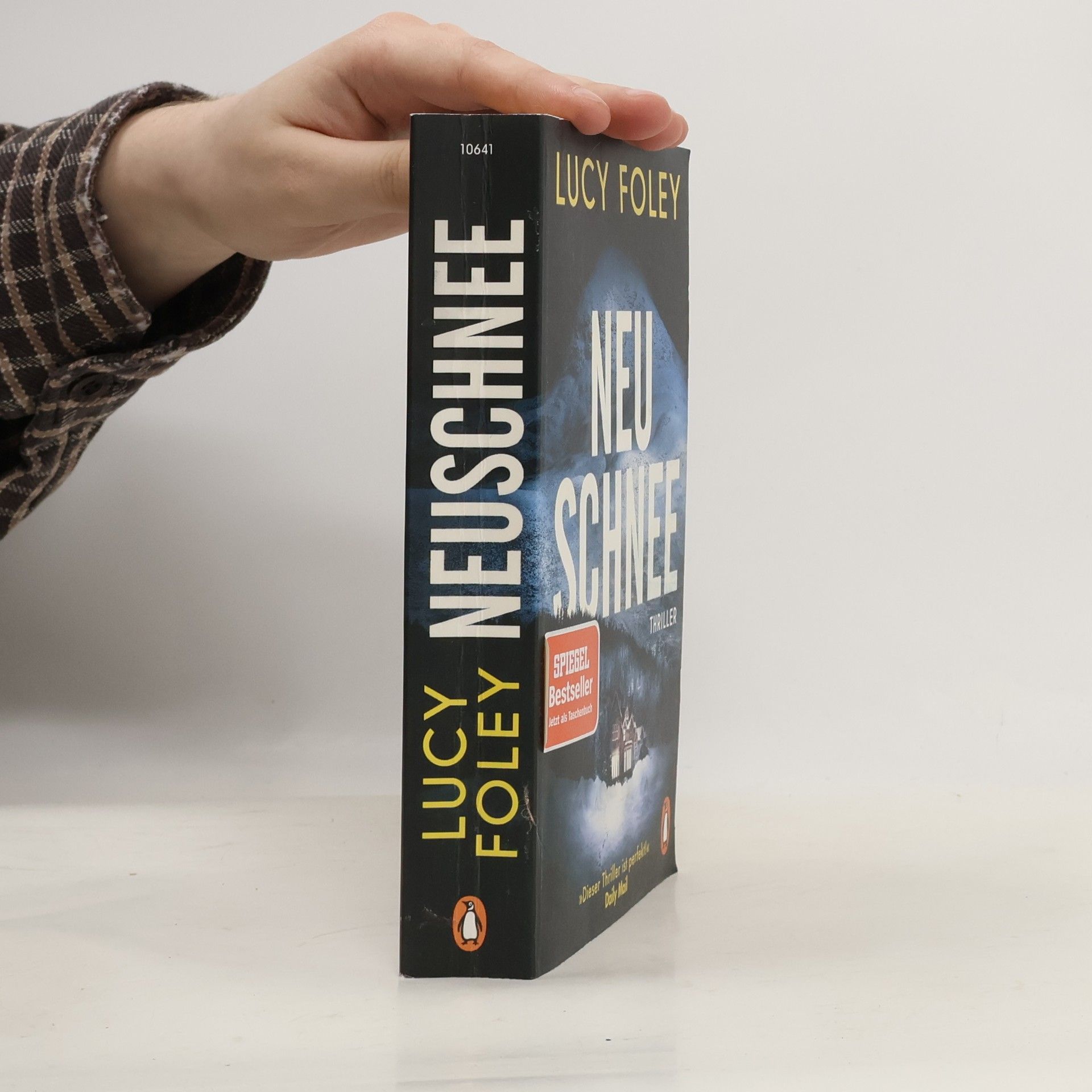 Lucy Foley Neuschnee