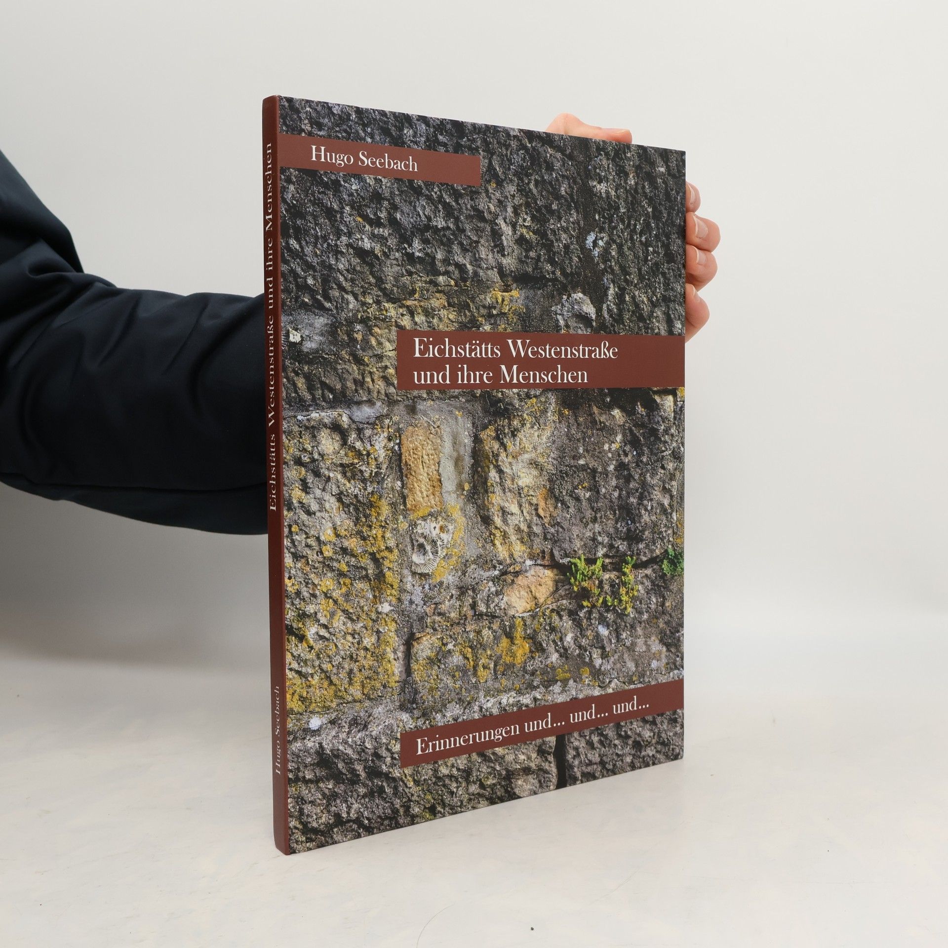 Hugo Seebach Eichstätts Westenstraße und ihre Menschen