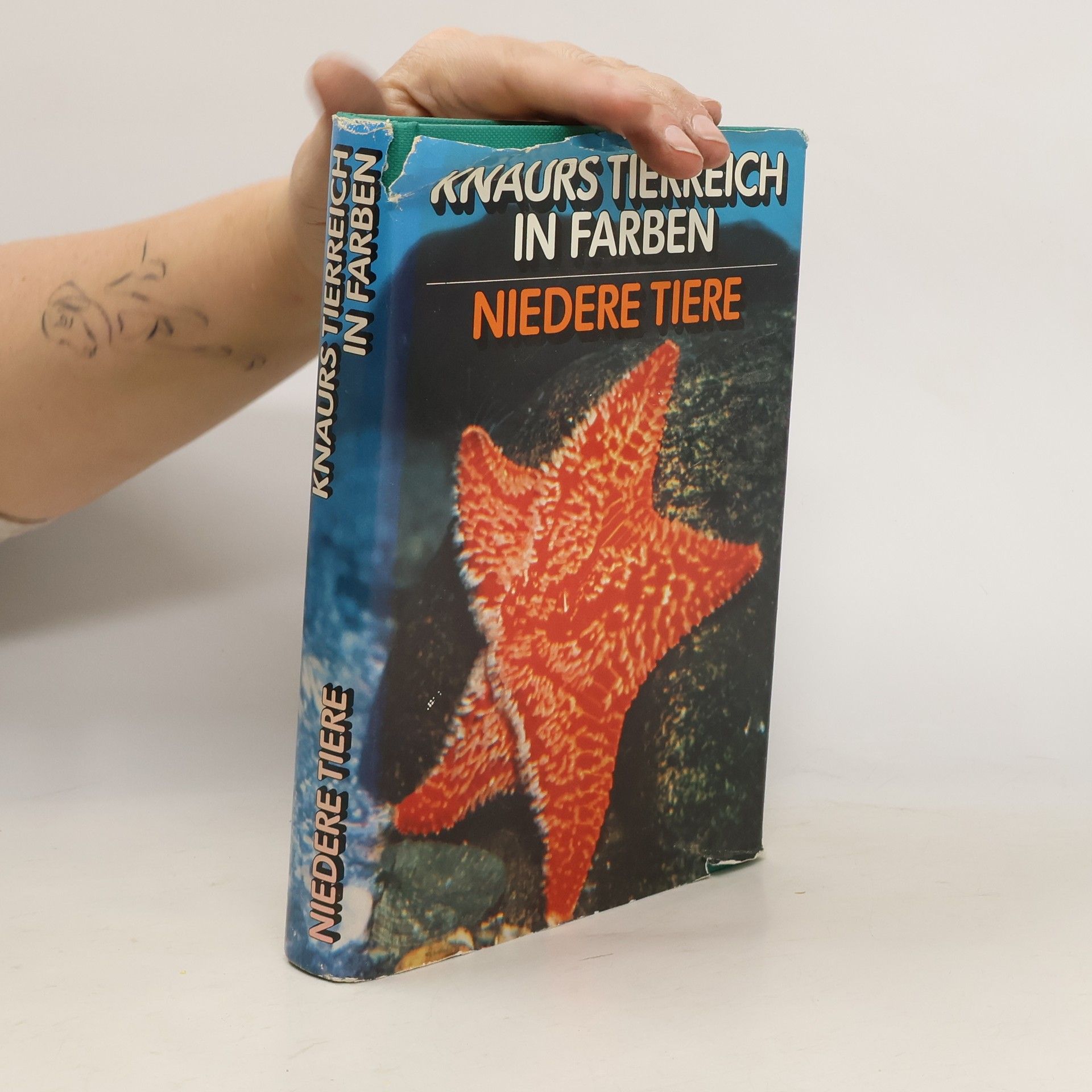 Kolektív autorov Knaurs Tierreich in Farben. Niedere Tiere