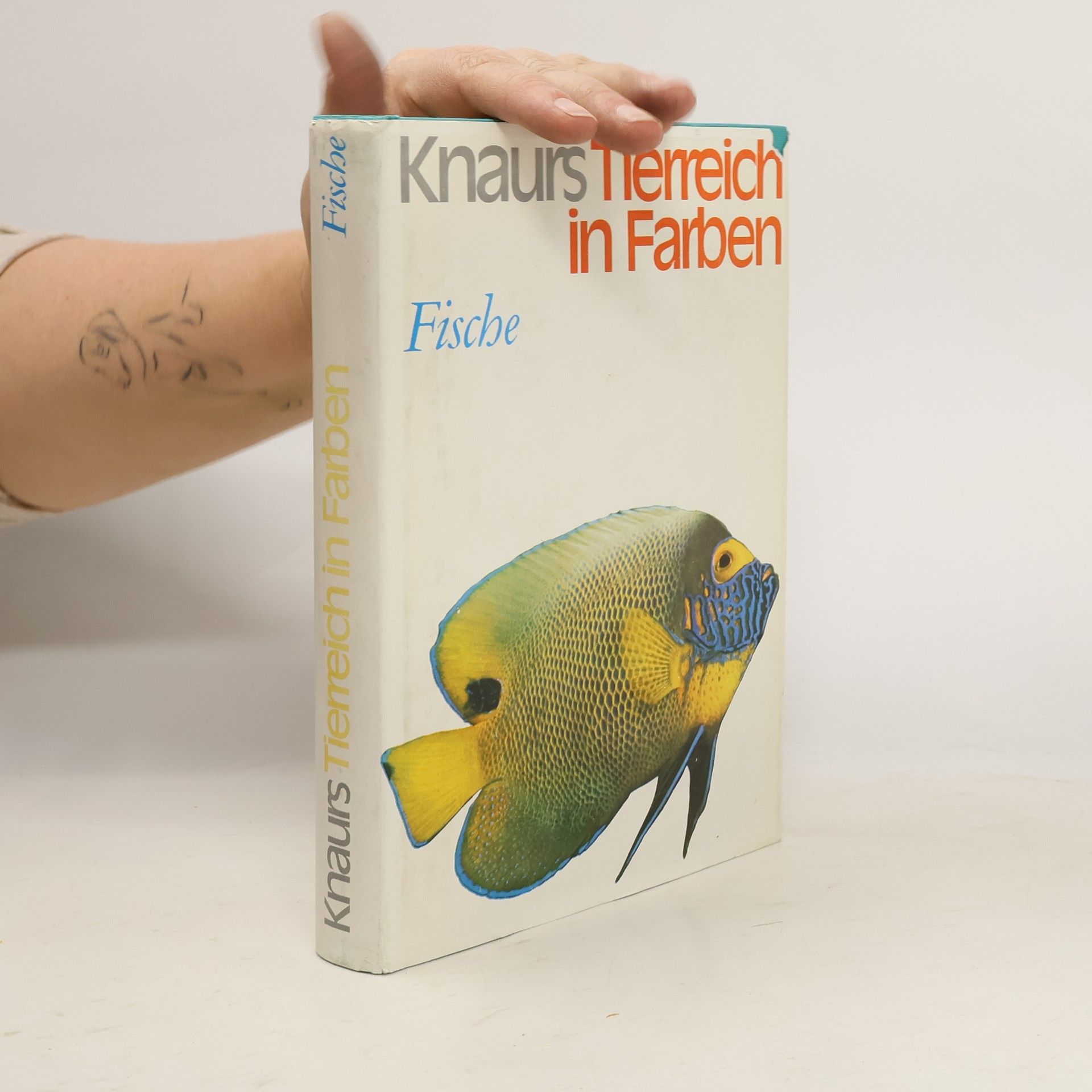 Autorenkollektiv Knaurs Tierreich in Farben: Fische