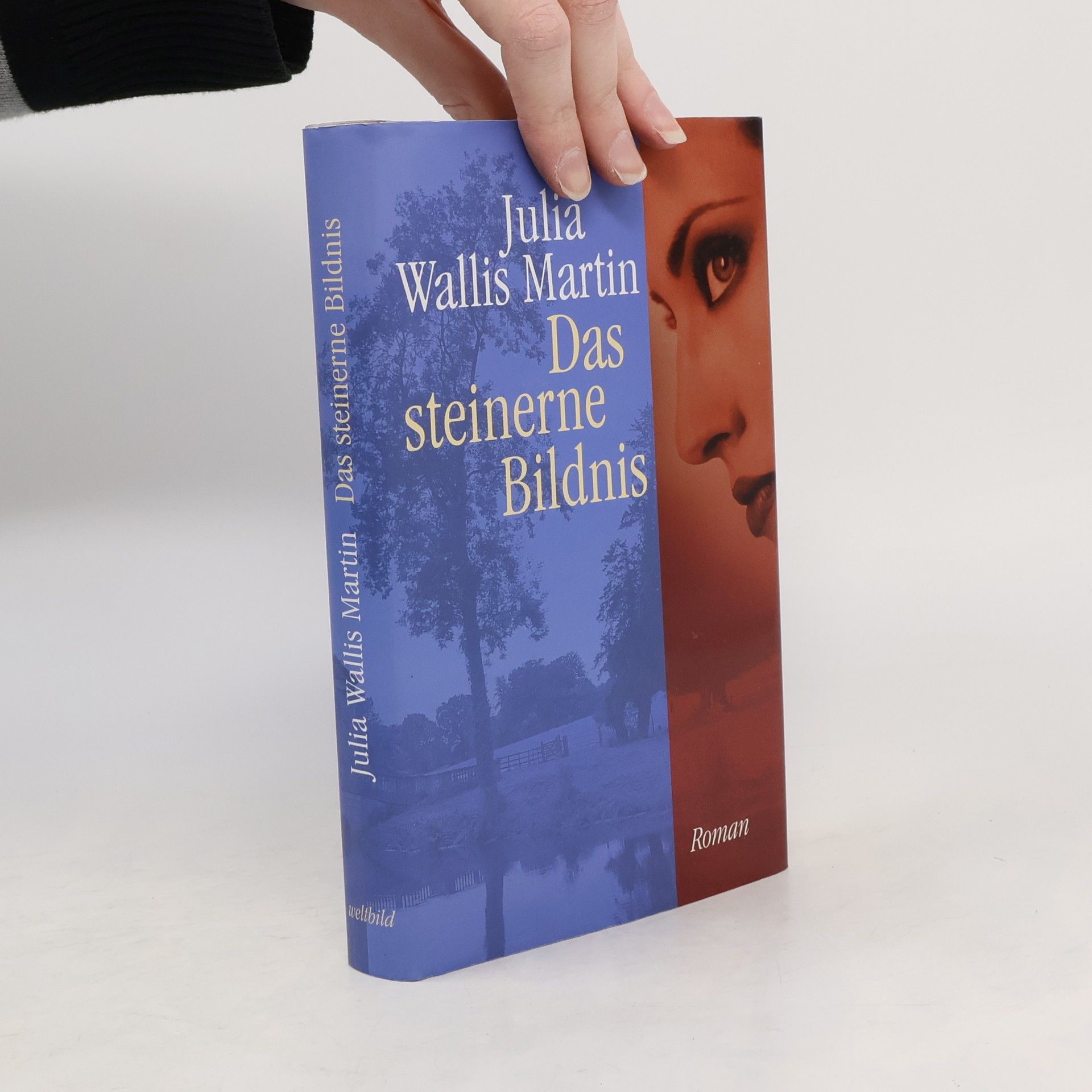 Julia Wallis Martin Das steinerne Bildnis