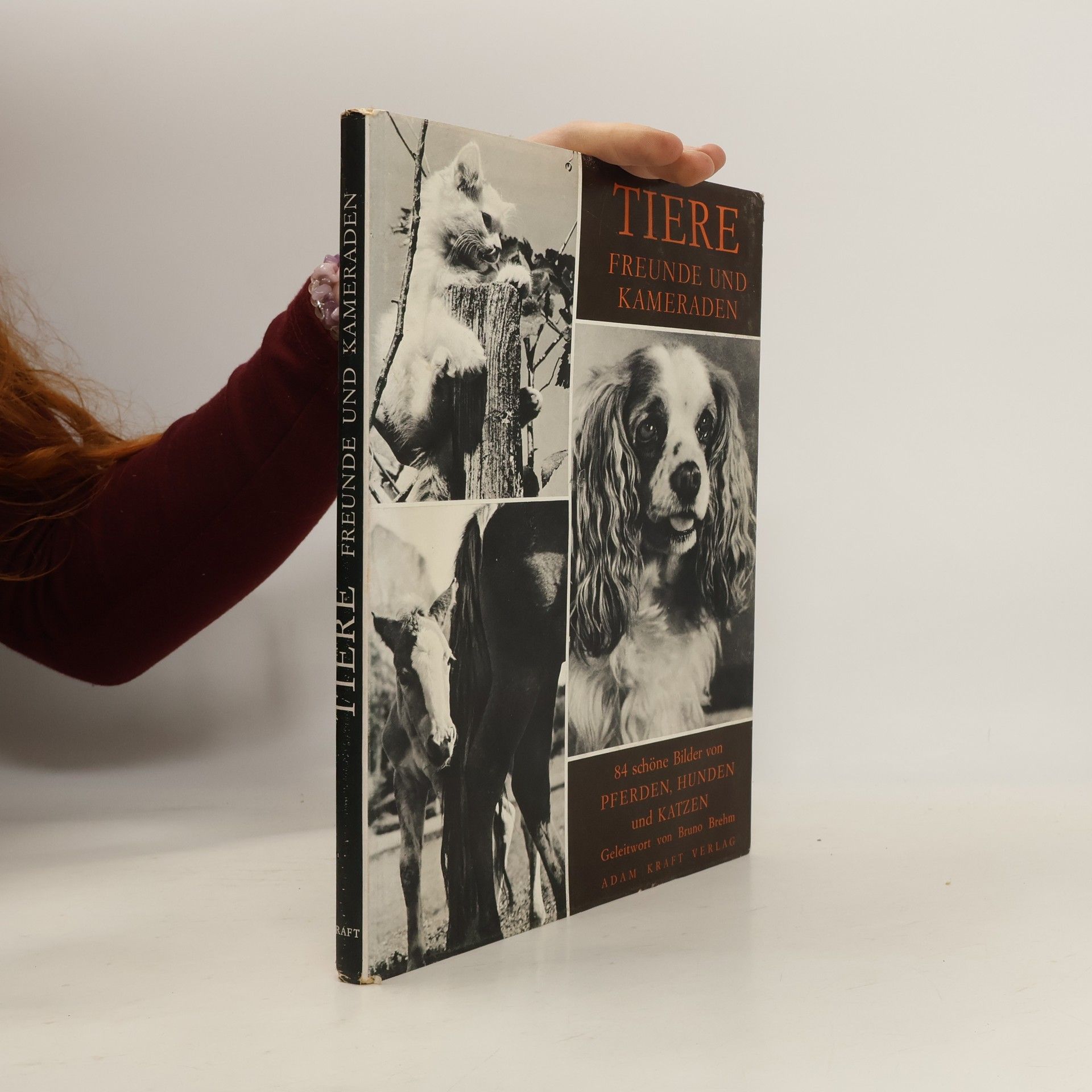 AA.VV. Tiere. Freunde und Kameraden
