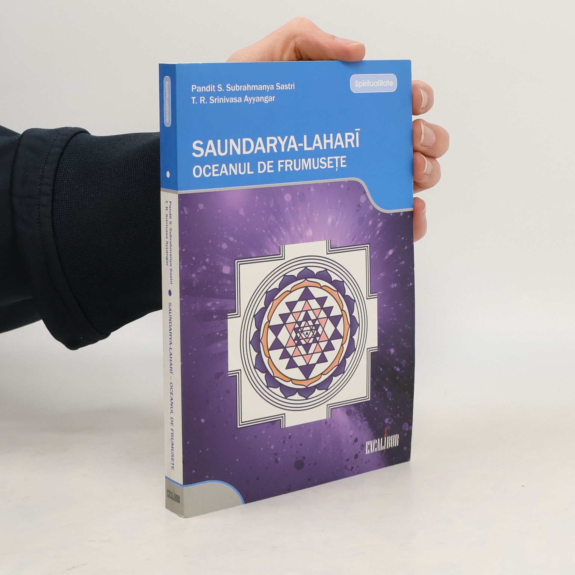 T. R. Srinivasa Ayyangar Saundarya-Laharī - Oceanul de frumusete